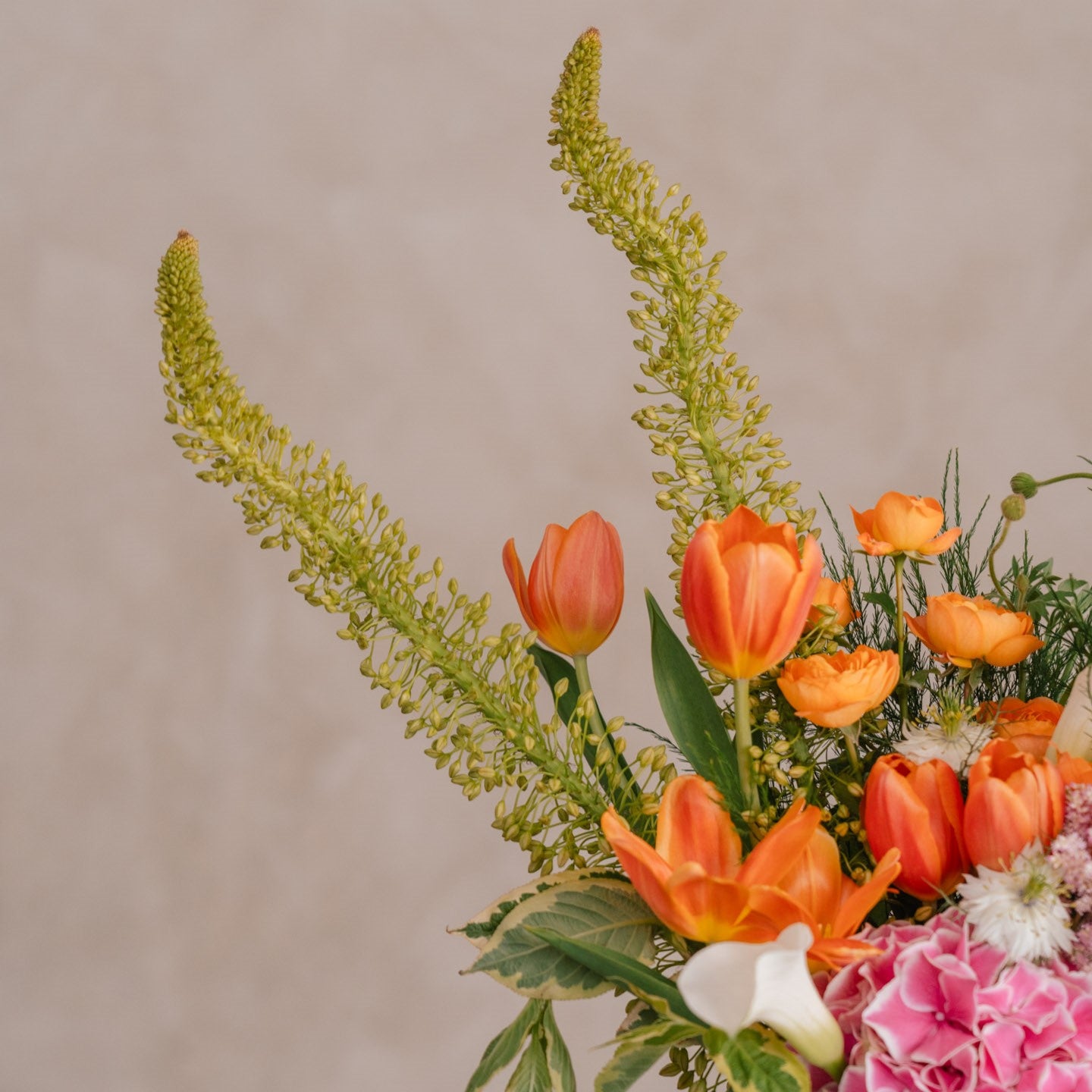 Seashell Summer Dream