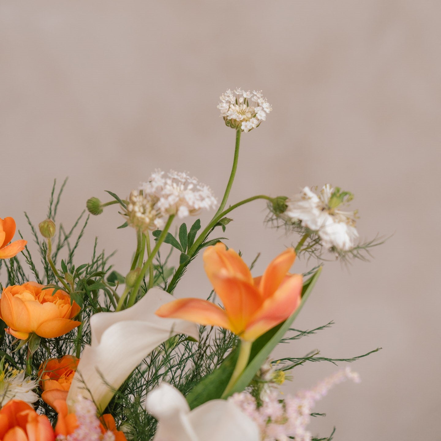 Seashell Summer Dream