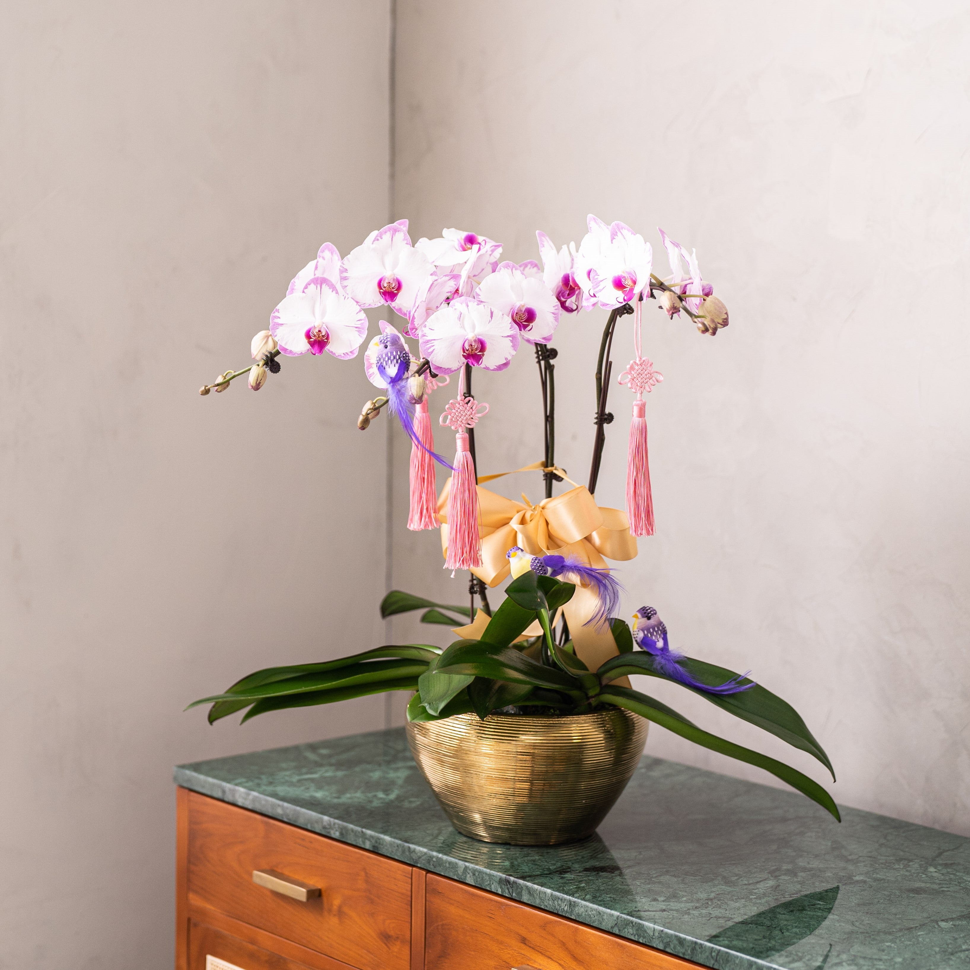 Special Phalaenopsis Orchid Vase
