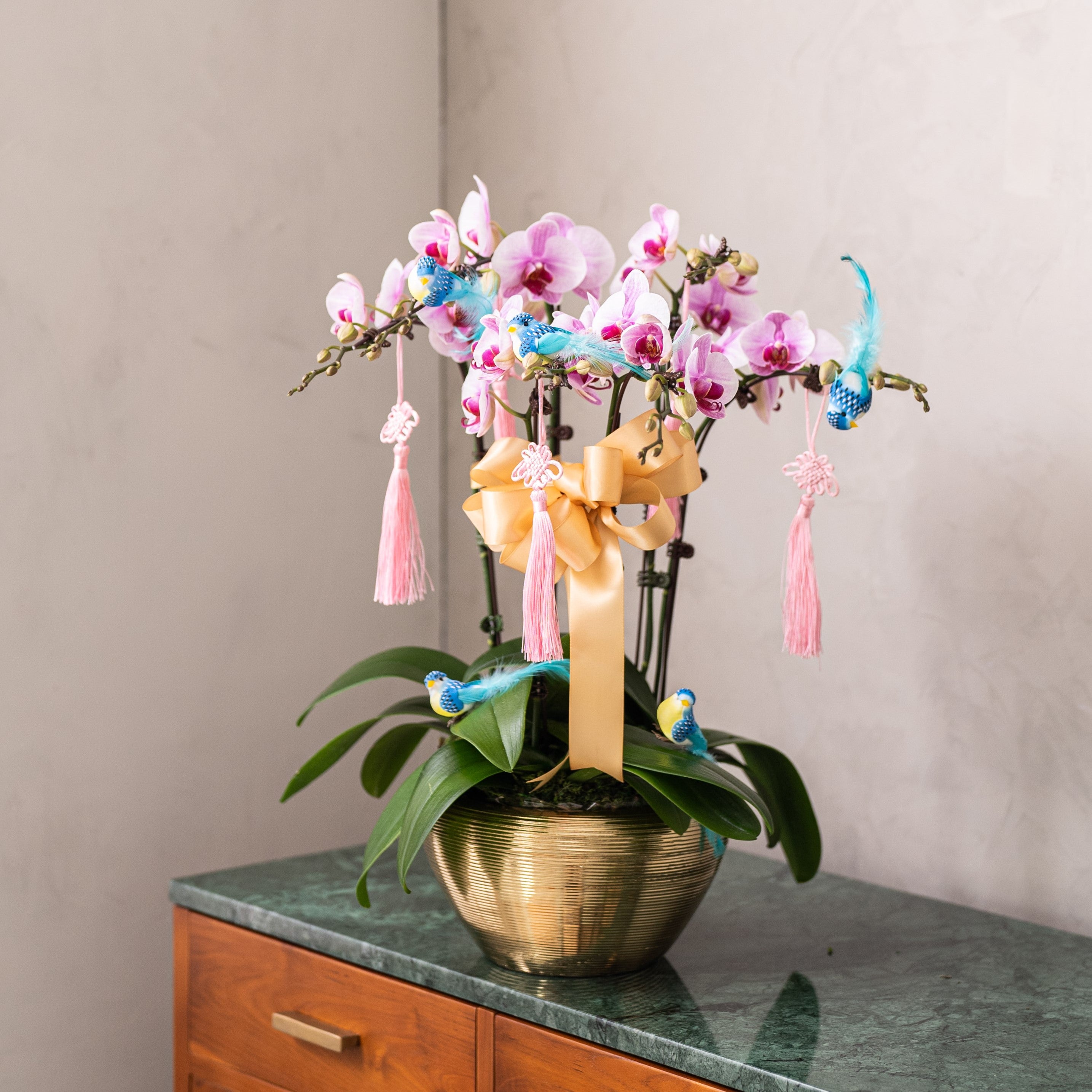 Special Phalaenopsis Orchid Vase