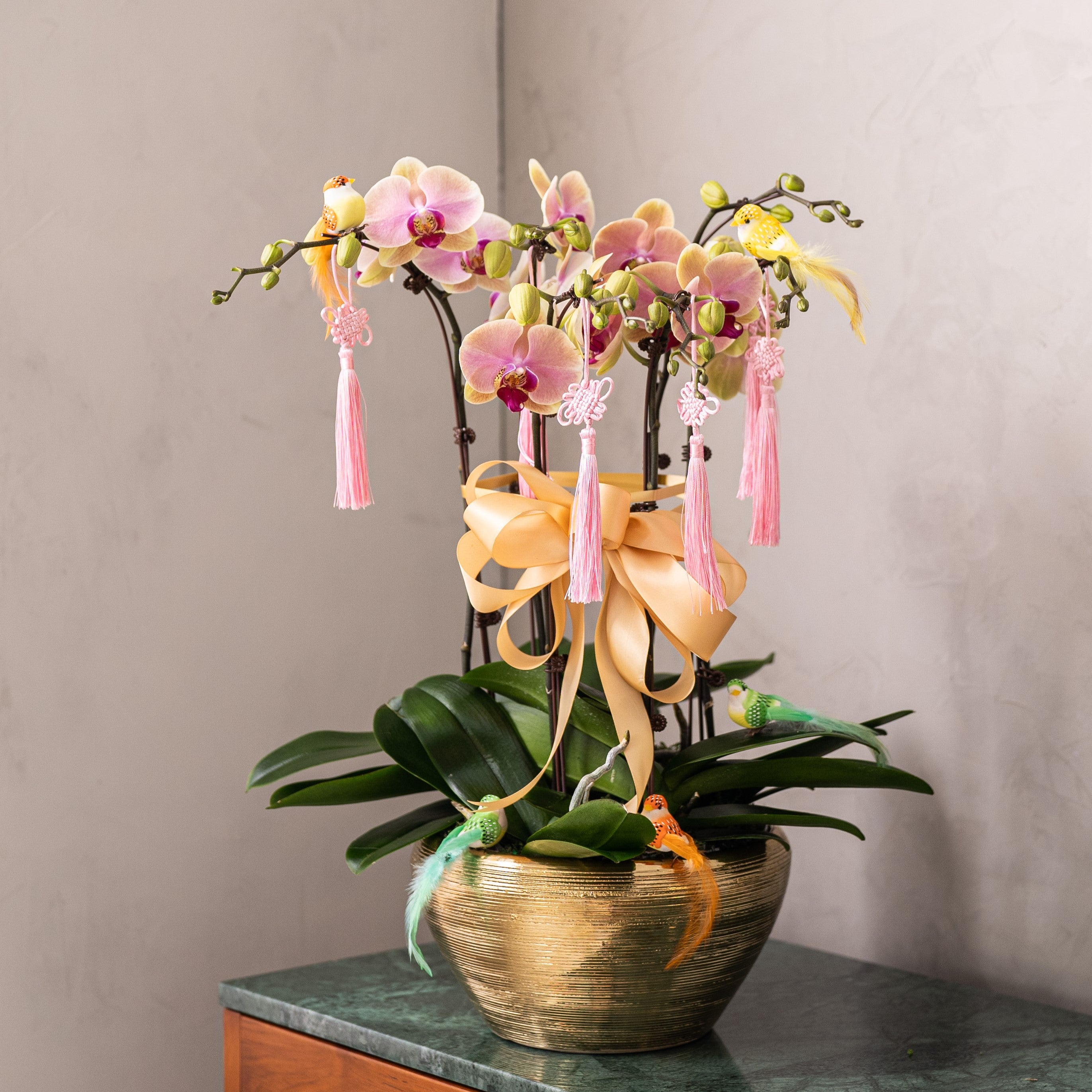 Special Phalaenopsis Orchid Vase