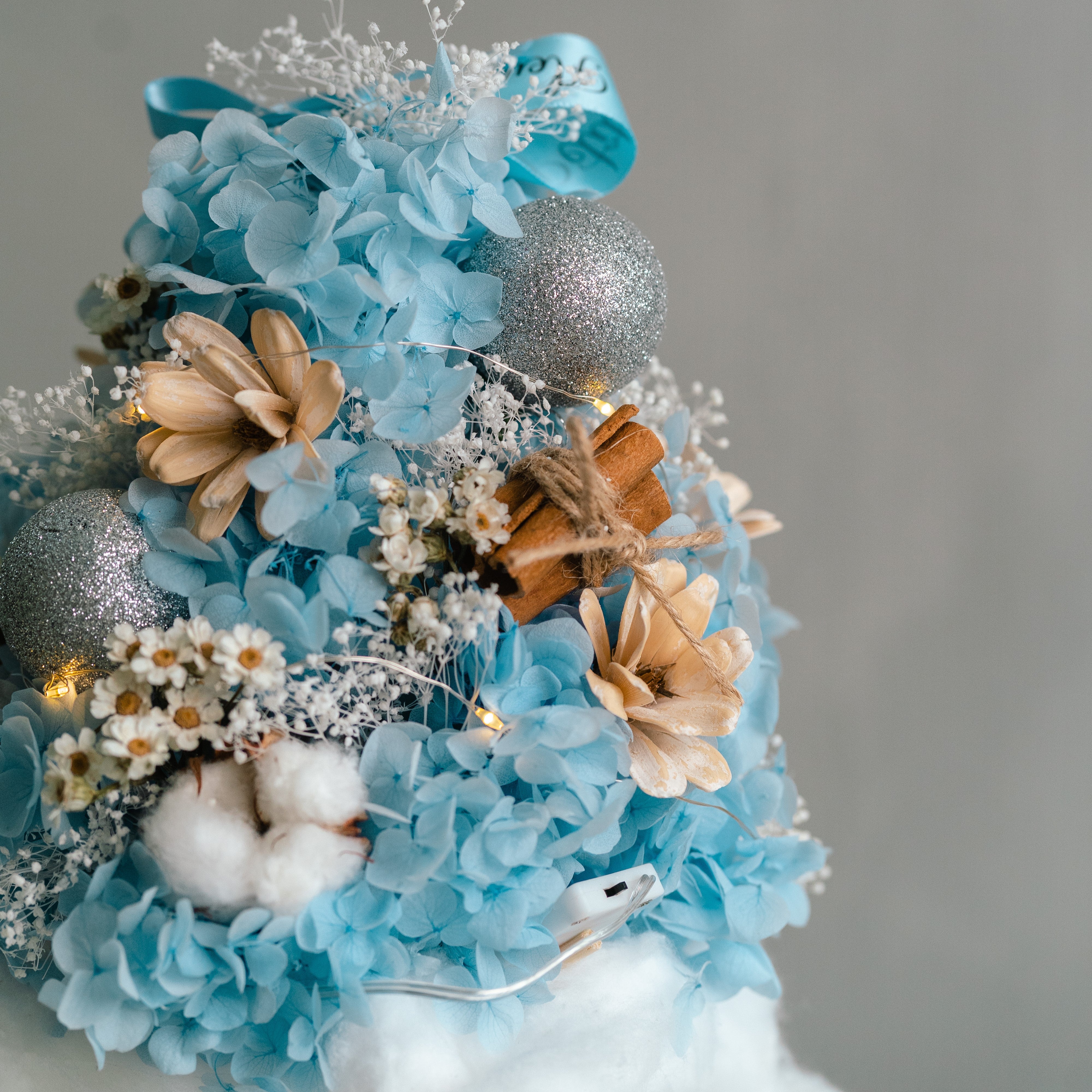 Dreamy Christmas