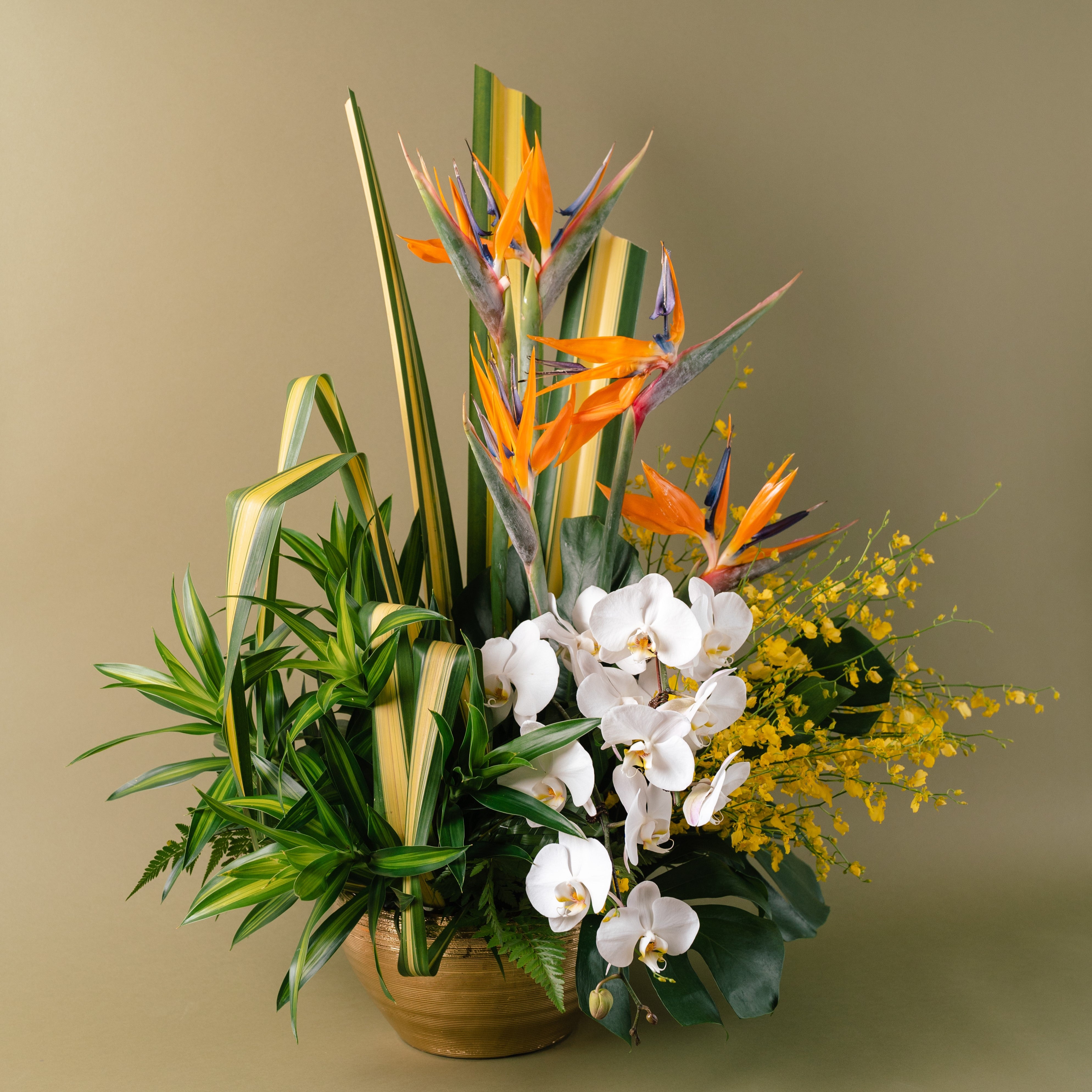 Dancing Lady Orchids Arrangement