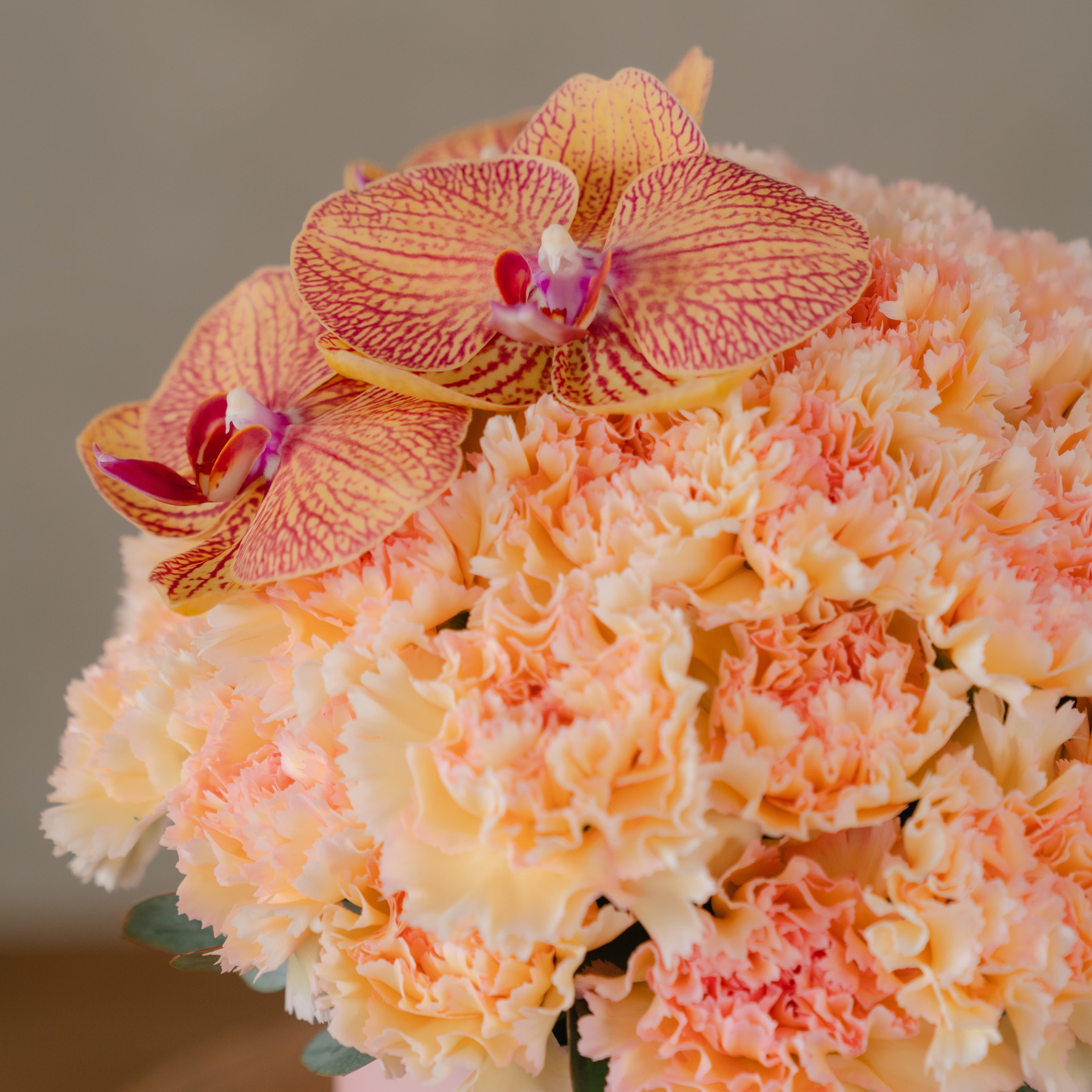 Peach Carnation & Yellow Orchid Petite Flower Box