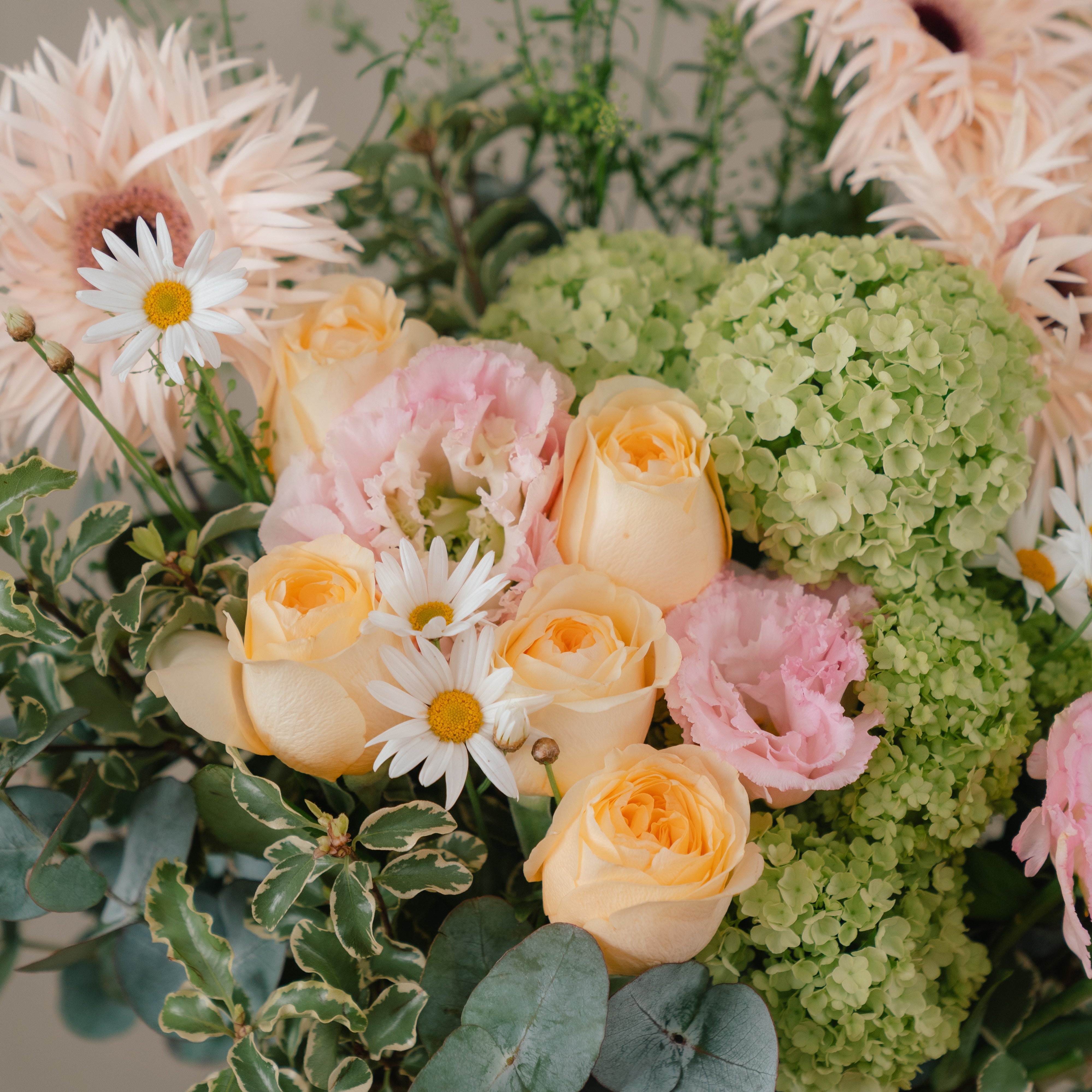 Holland Gerbera and Garden Rose Vase Arrangement