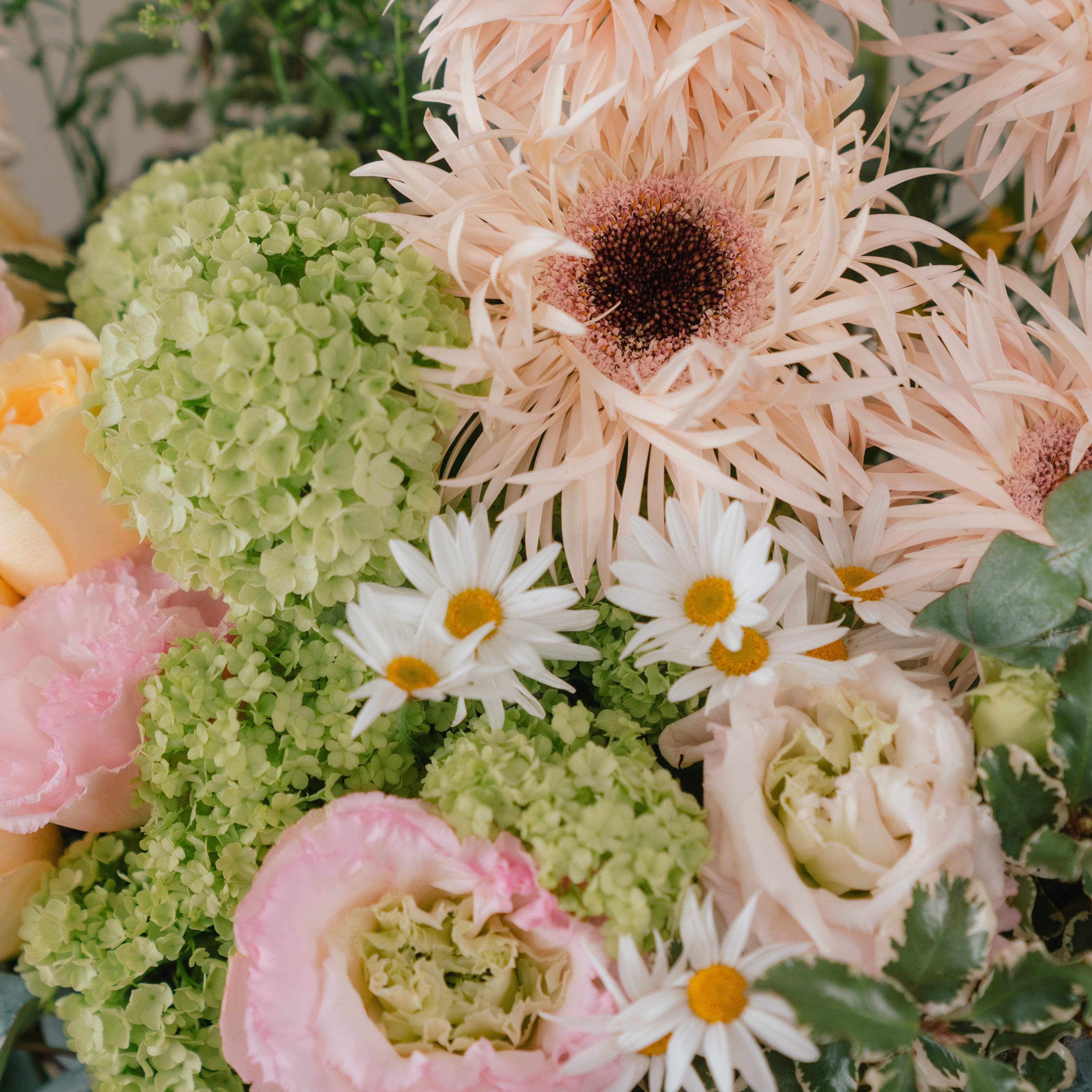 Holland Gerbera and Garden Rose Vase Arrangement