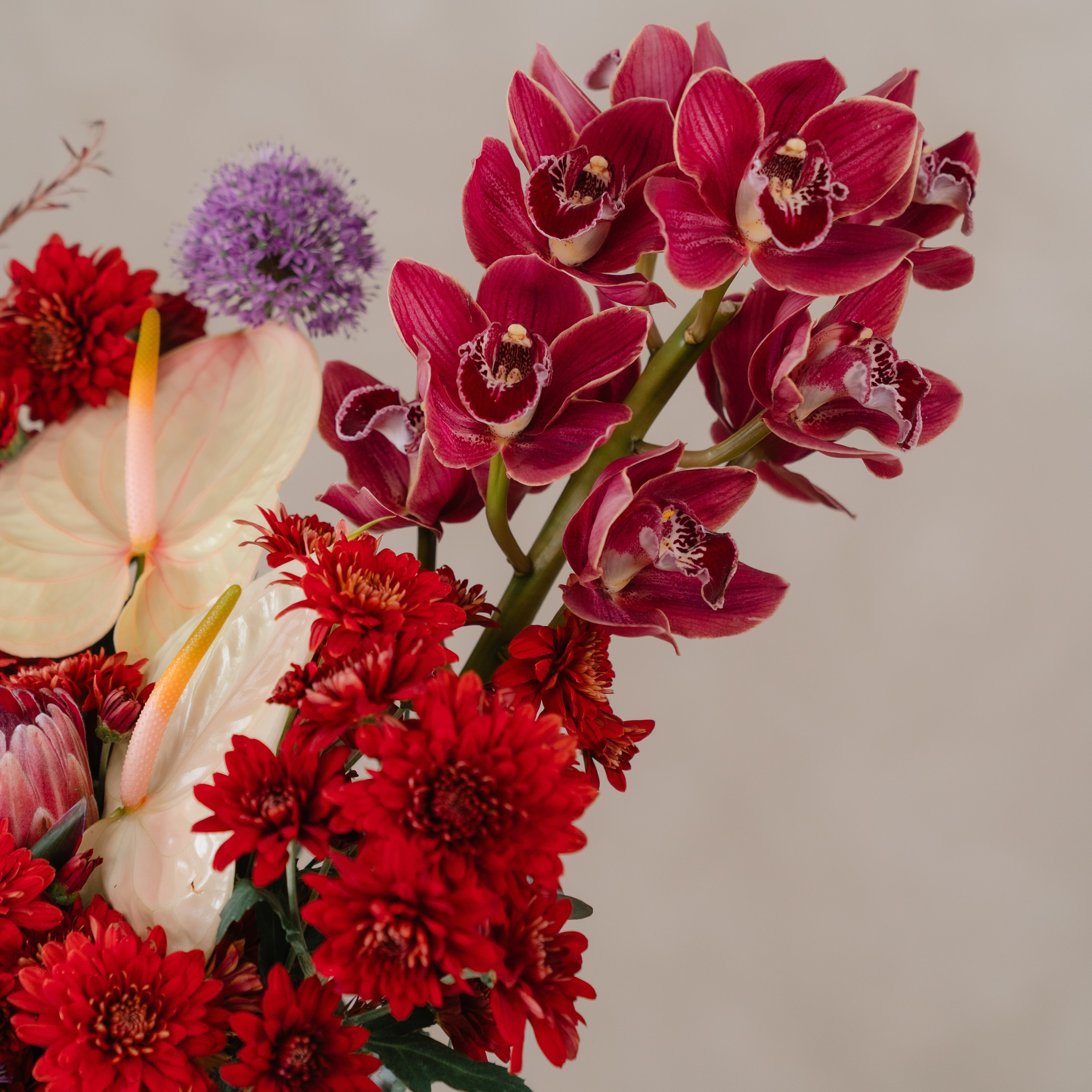 Cymbidium Orchid and Allium Vase Arrangement