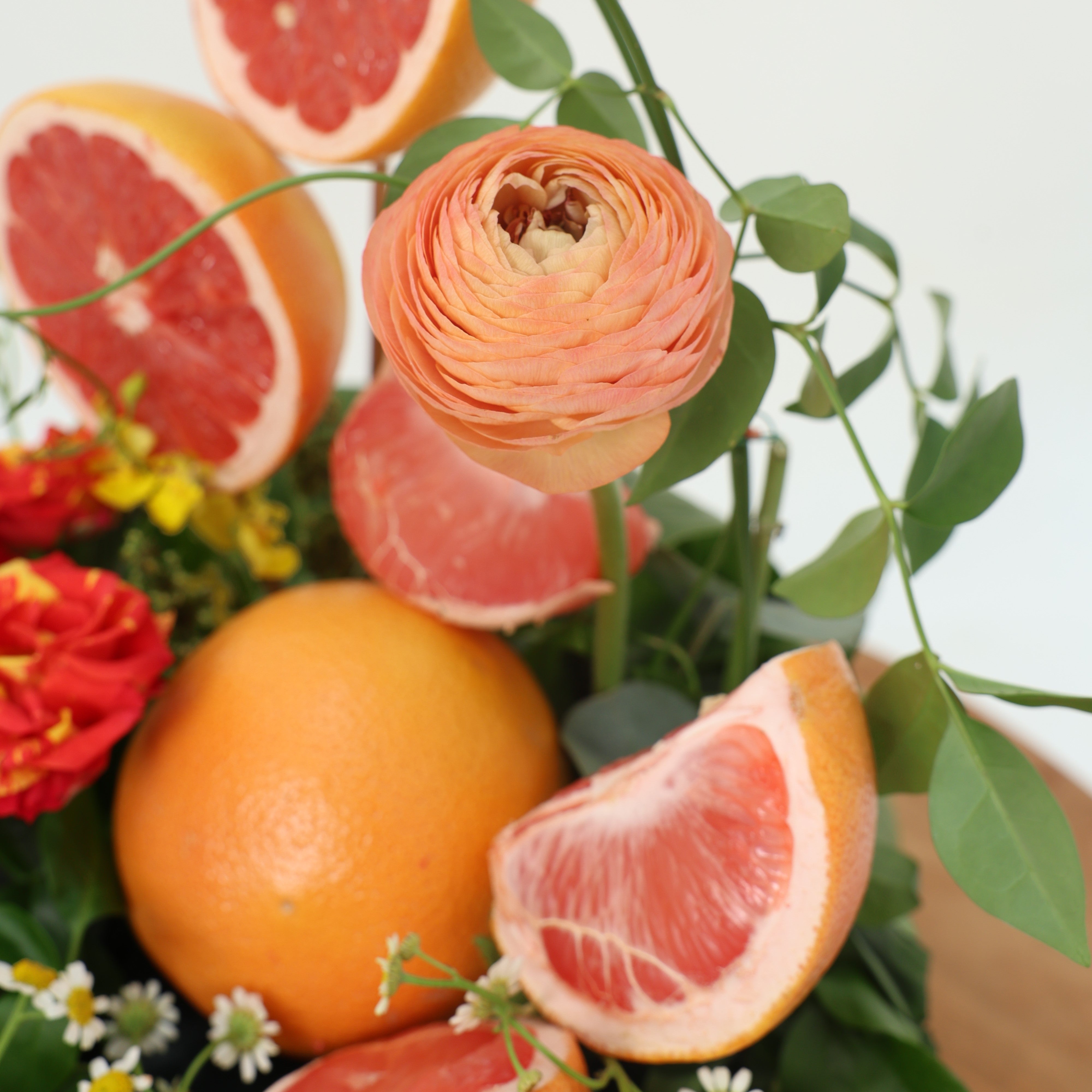 Citrus Meadow
