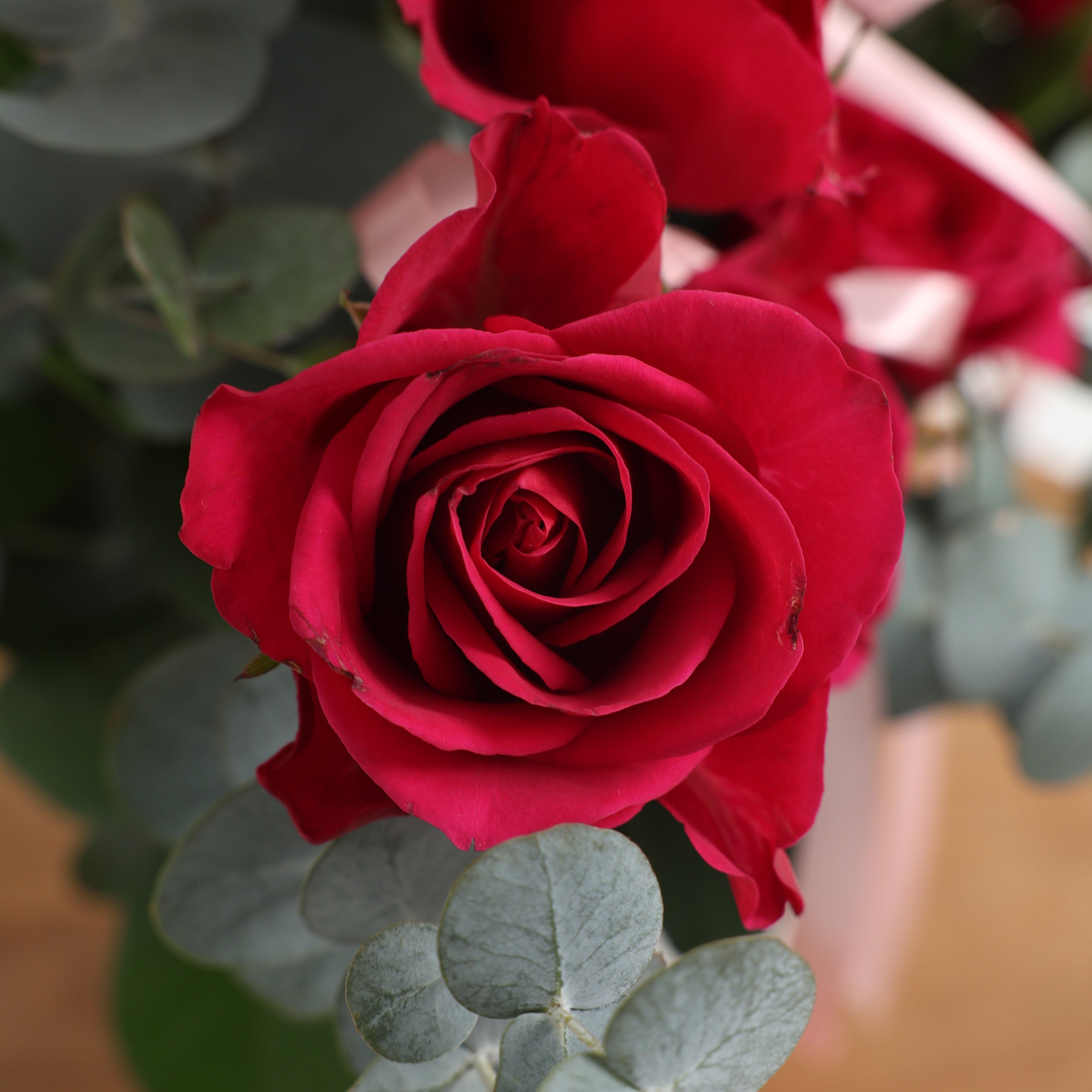 Classic Romance Rose Vase