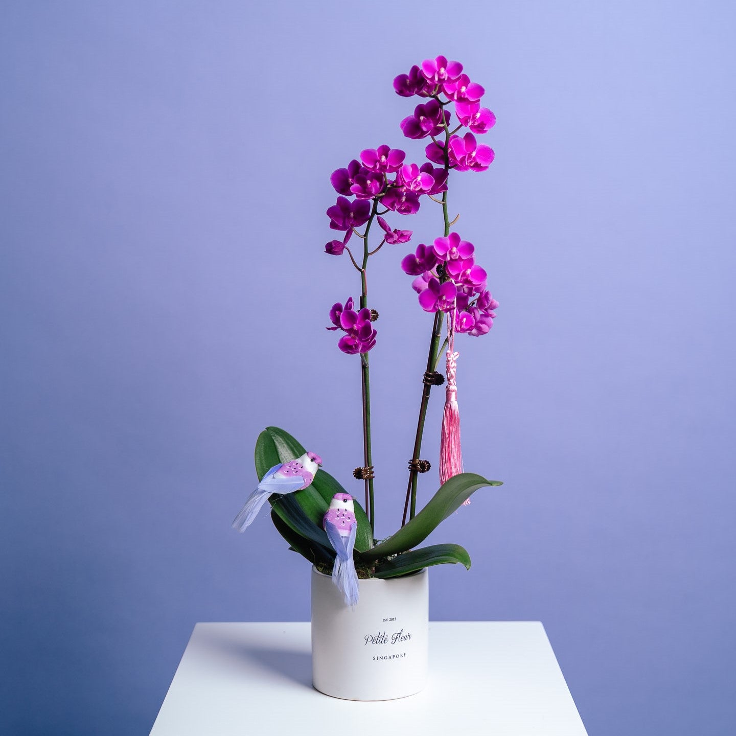 Petite Orchid Vase