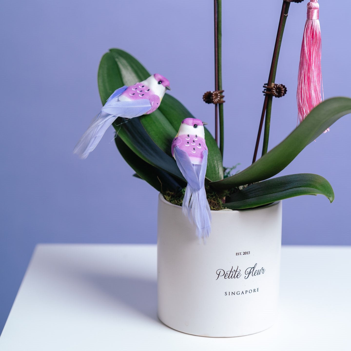 Petite Orchid Vase