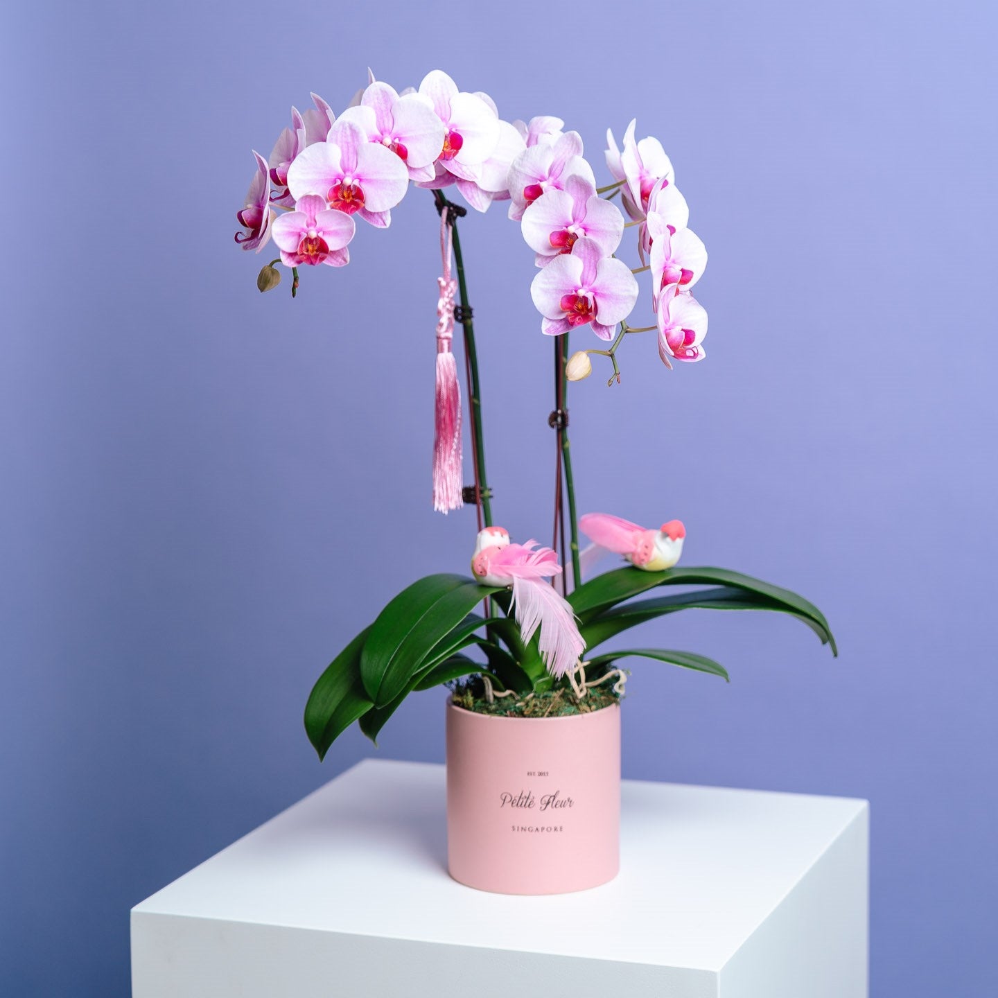 Petite Orchid Vase