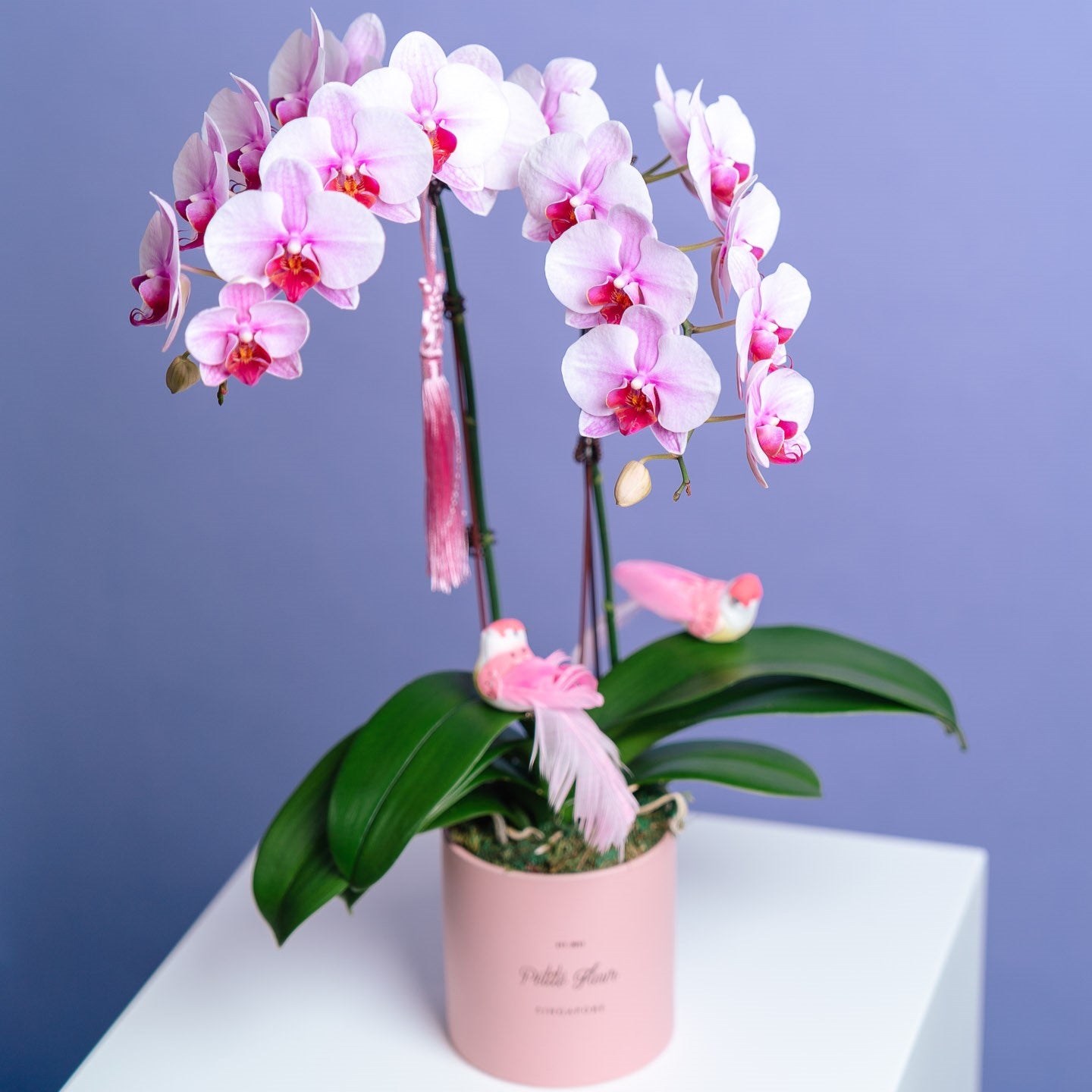 Petite Orchid Vase