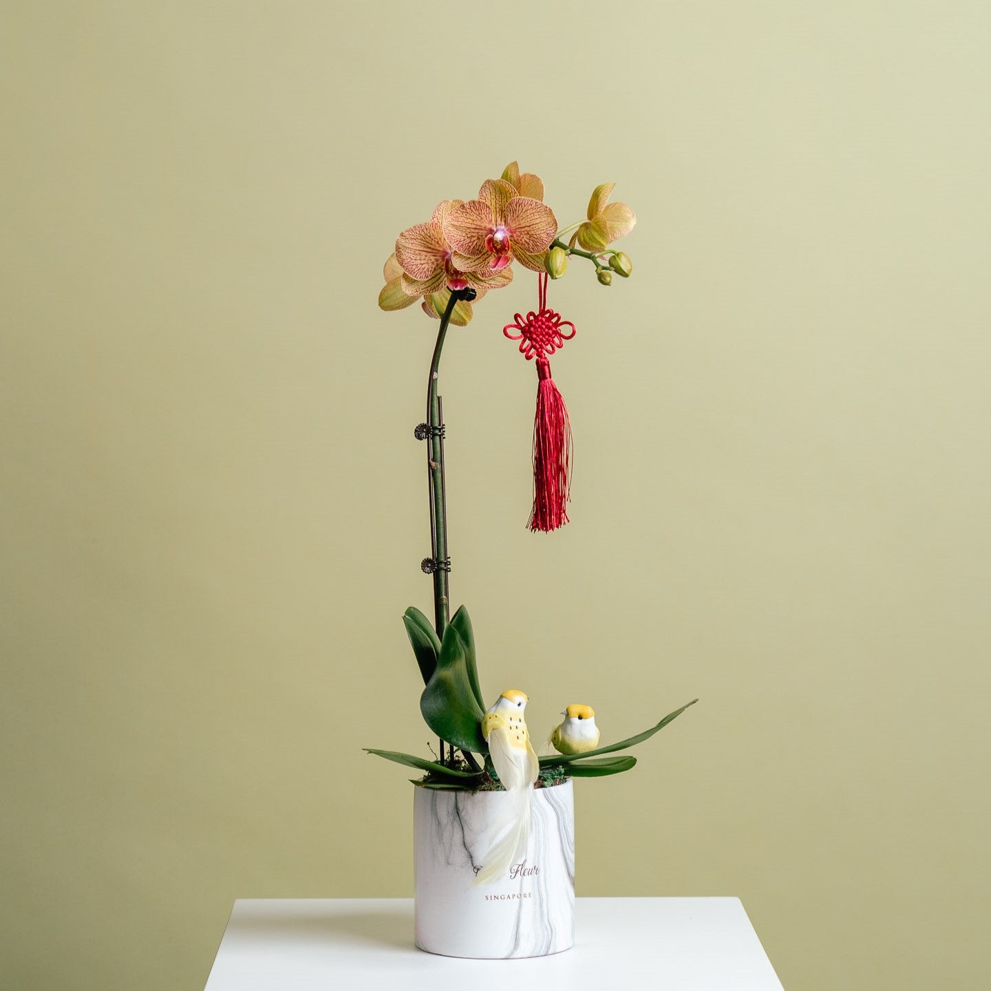 Petite Orchid Vase