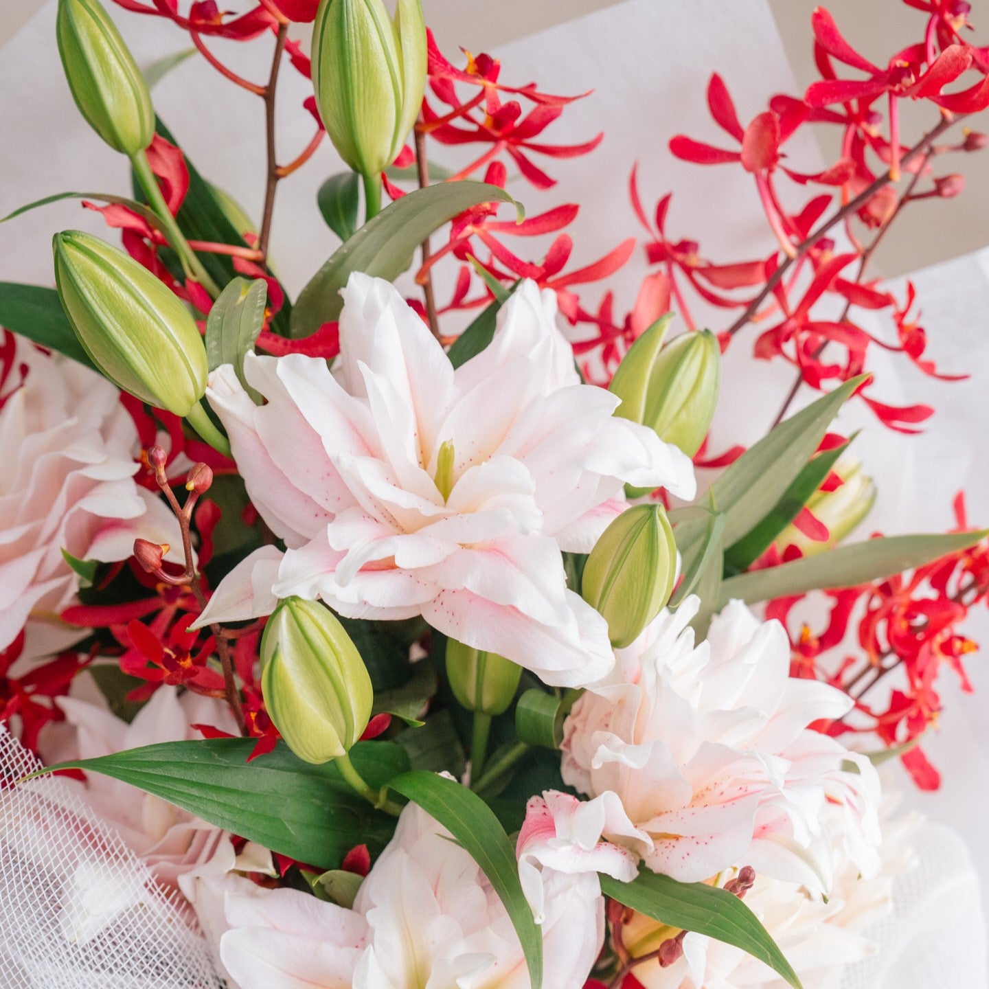Divine Double-Petaled Lilies