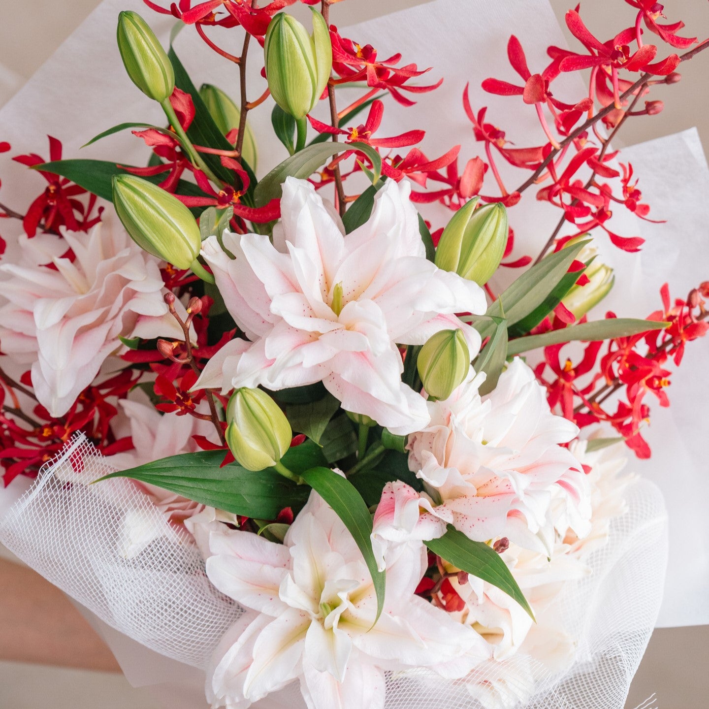 Divine Double-Petaled Lilies
