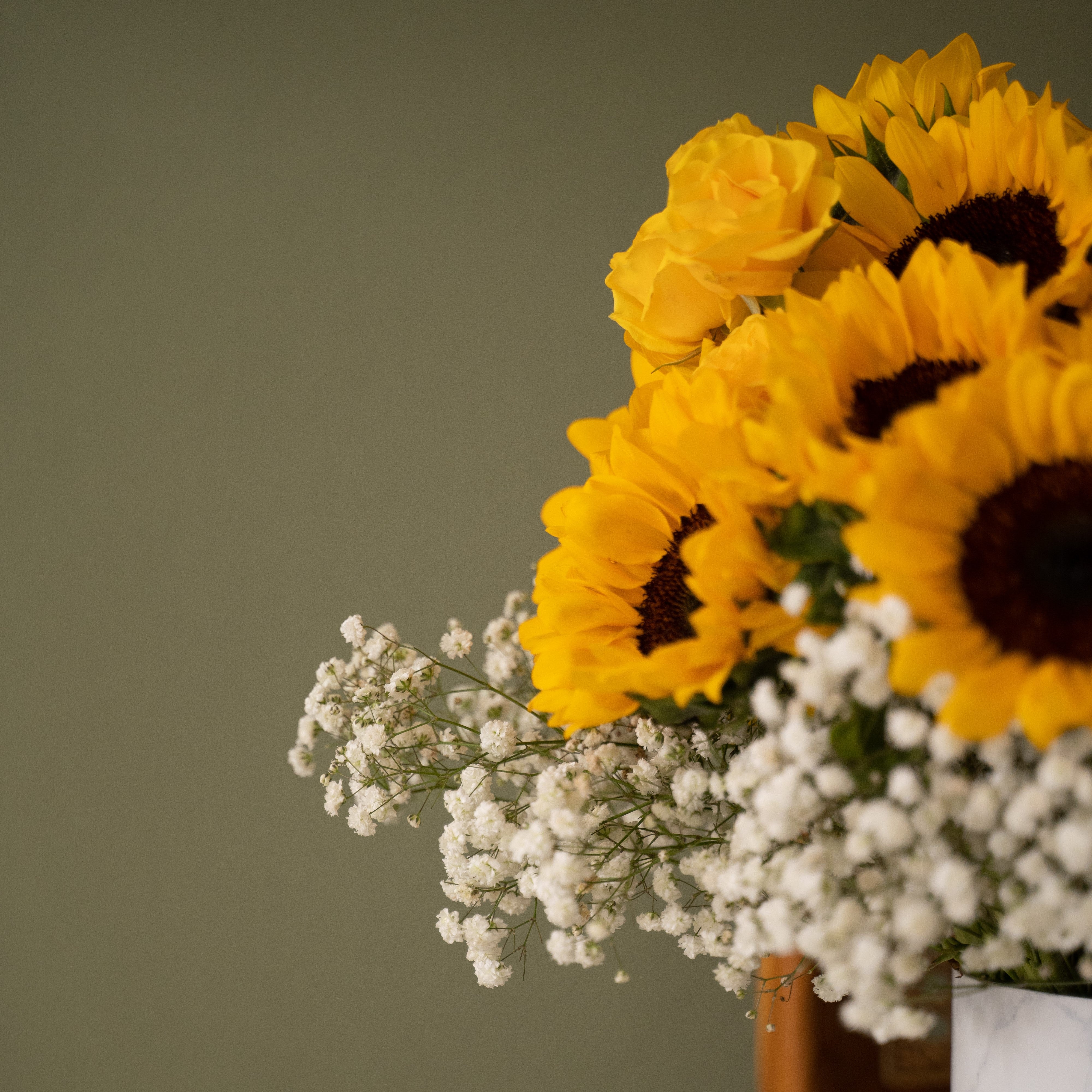 Sunflower in Love