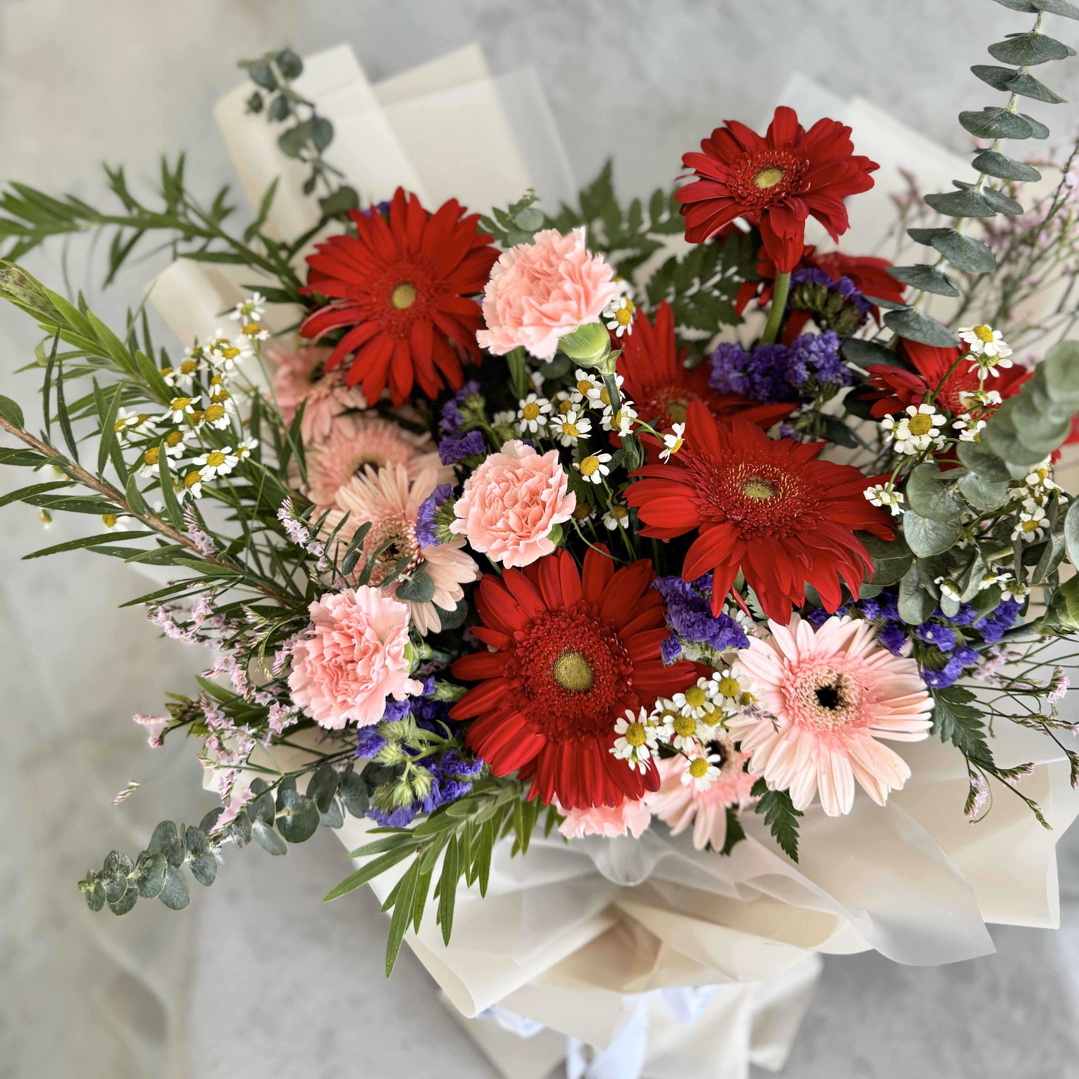 Daisies in Bloom