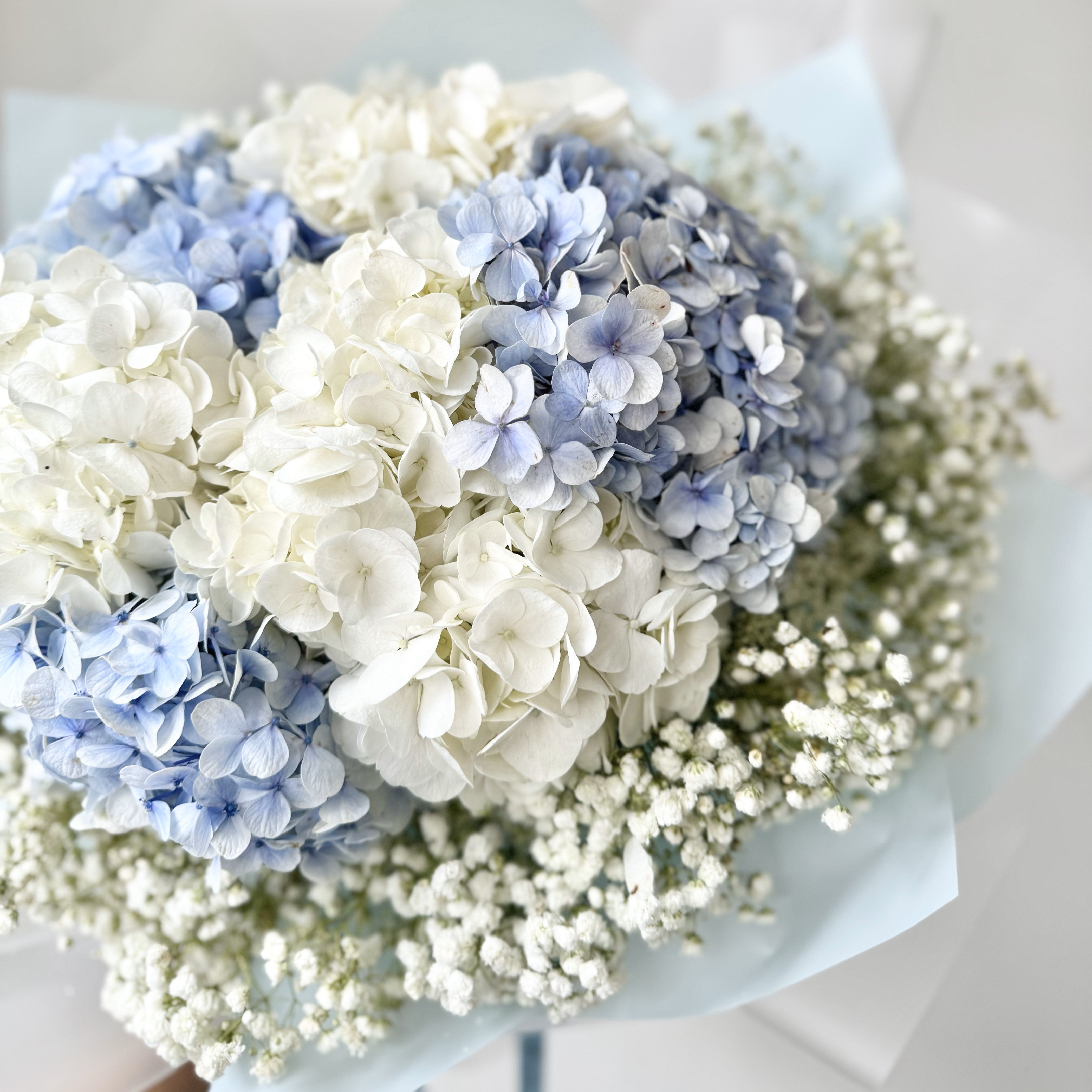 Heavenly Hydrangeas