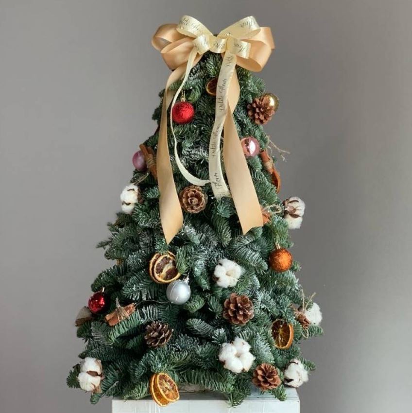 Fresh Petite Christmas Tree