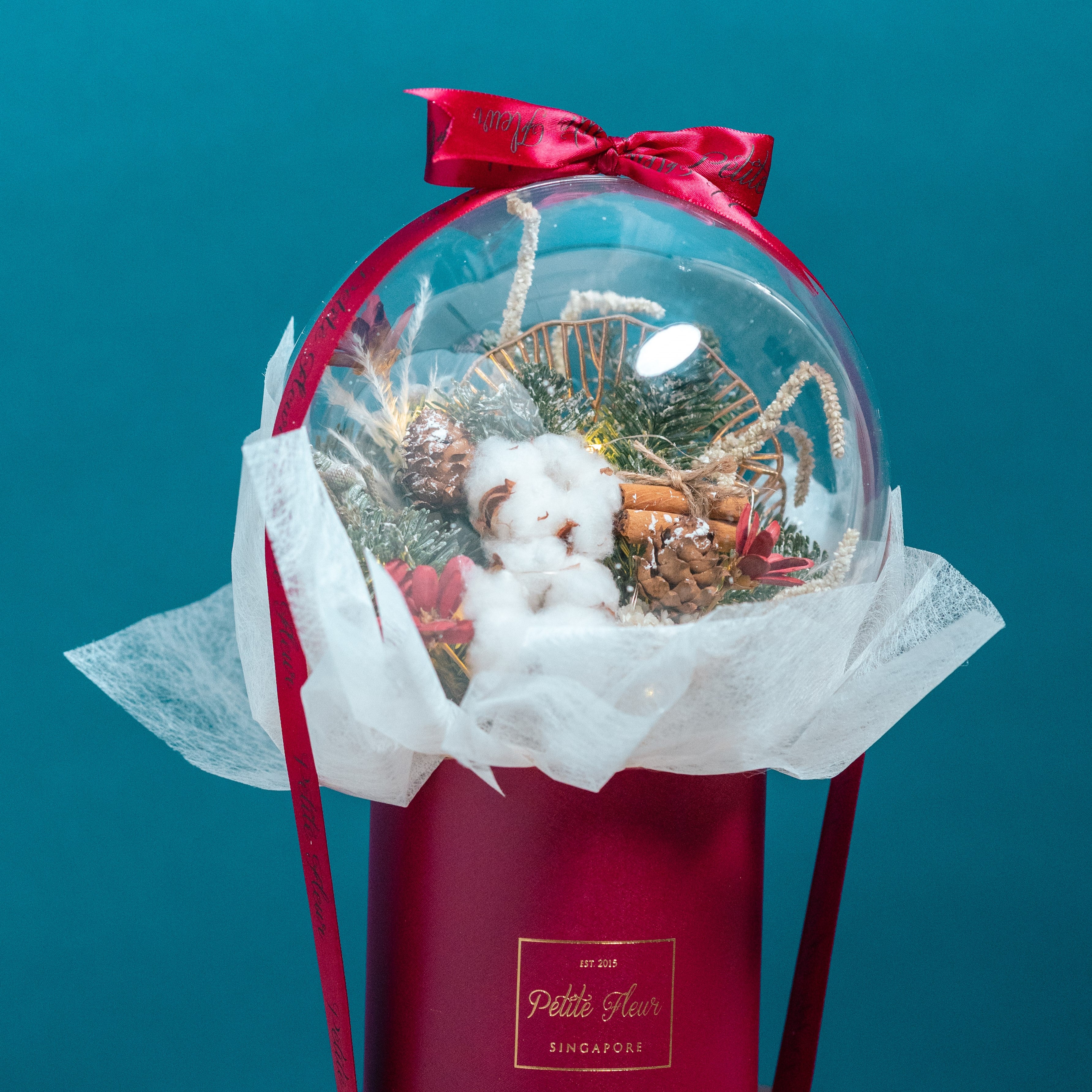 Christmas Snow Globe