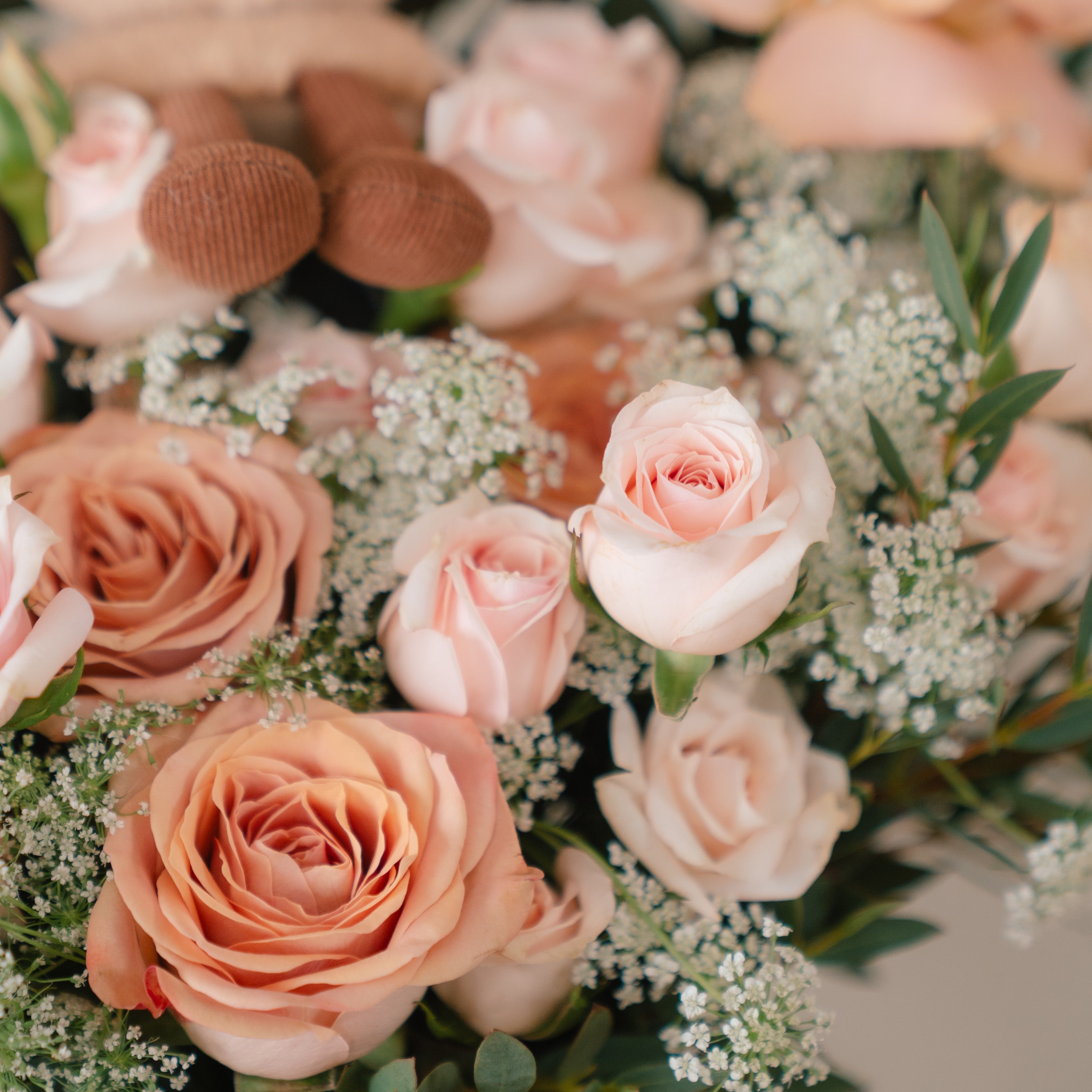 Jellycat Amuseable Latte and Cappuccino Roses