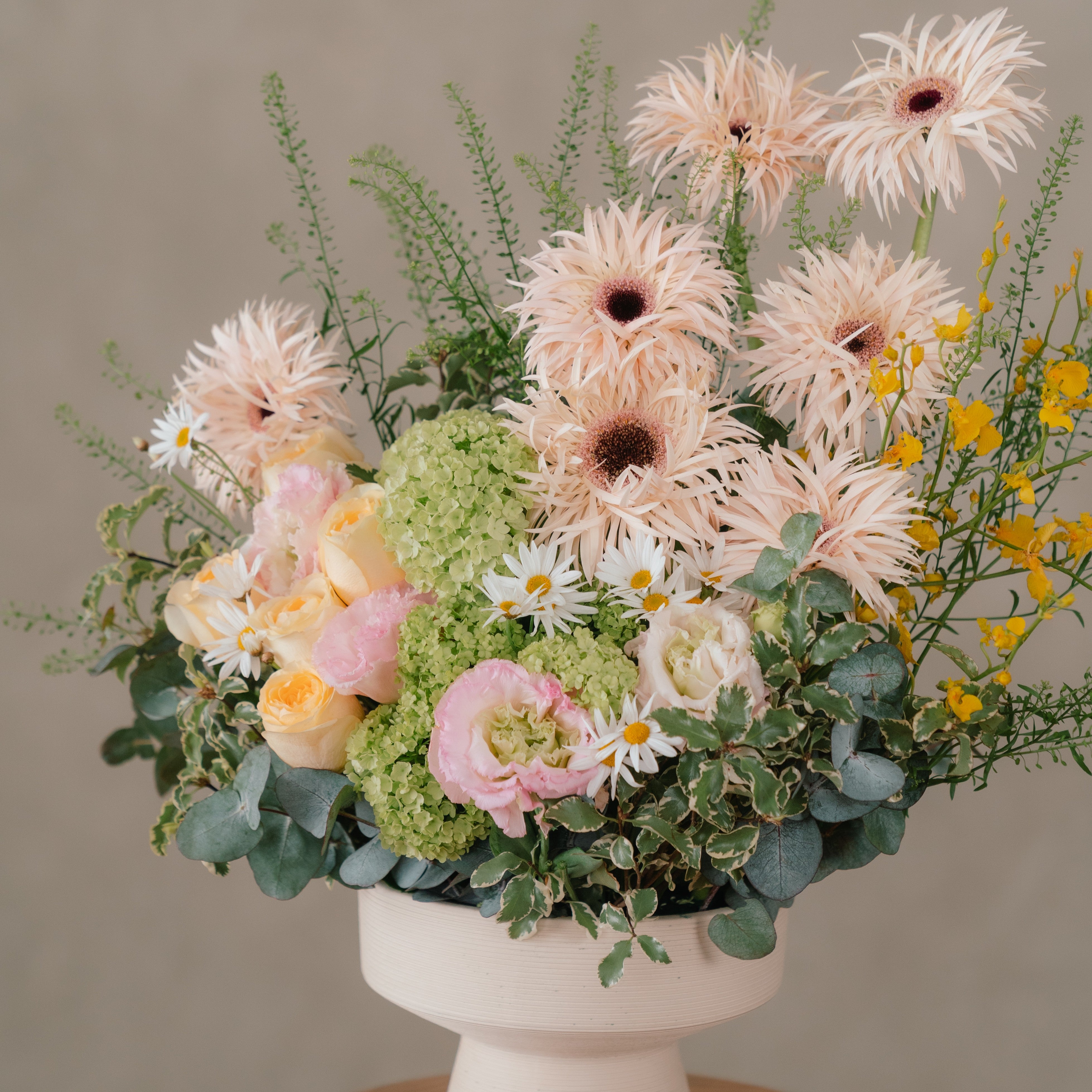 Holland Gerbera and Garden Rose Vase Arrangement