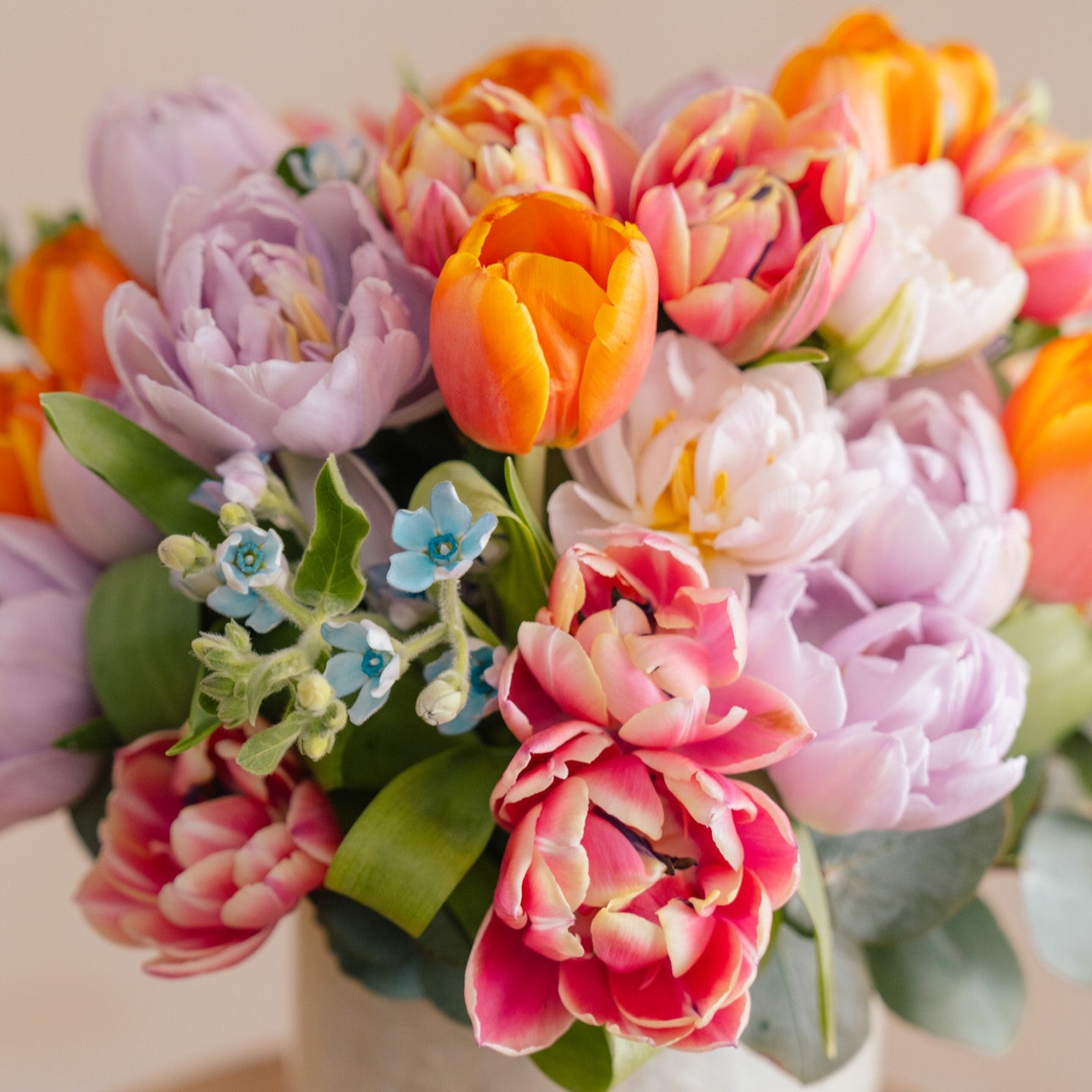 Tulip Kisses