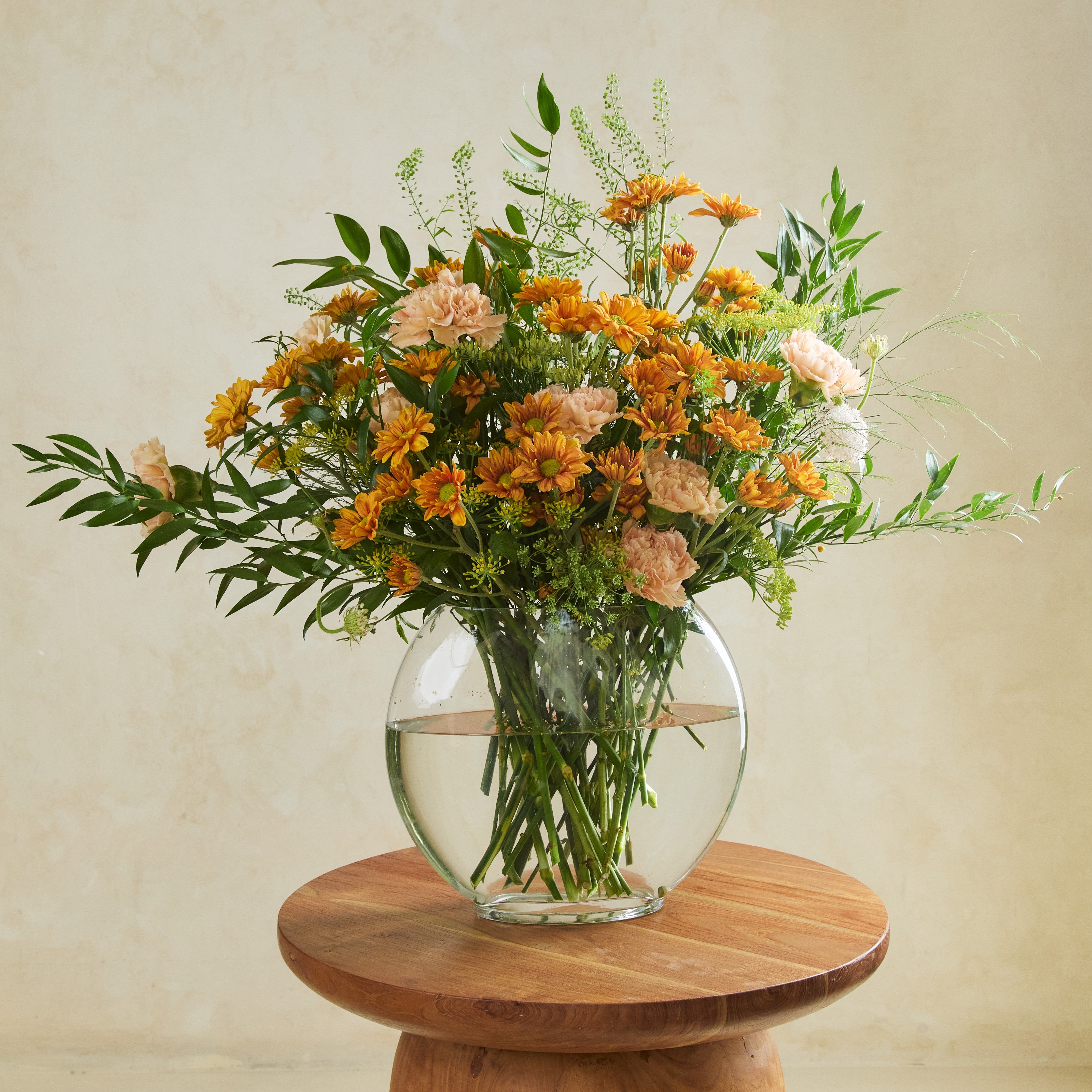 Apricot Daydream