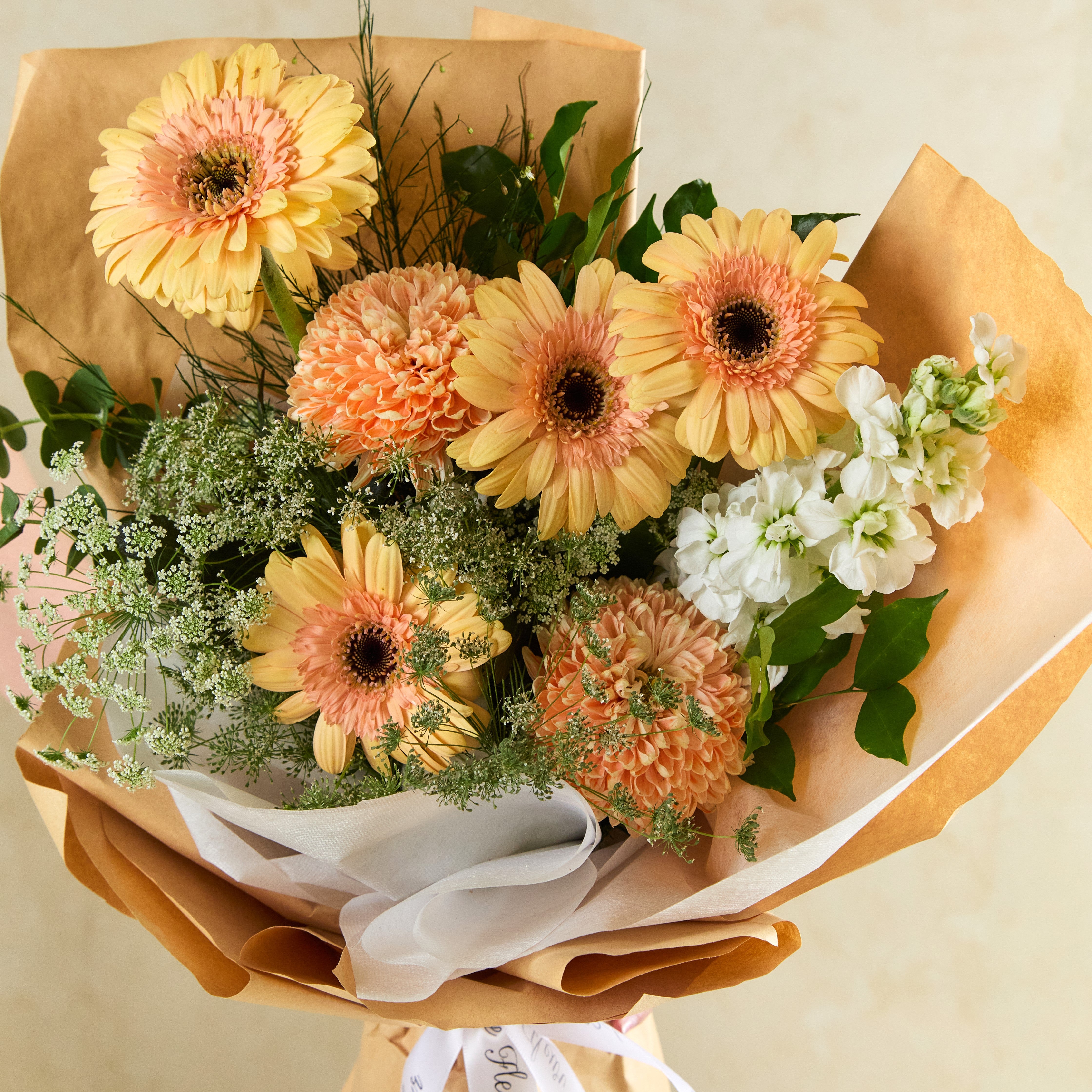 Glowbeam Gerbera