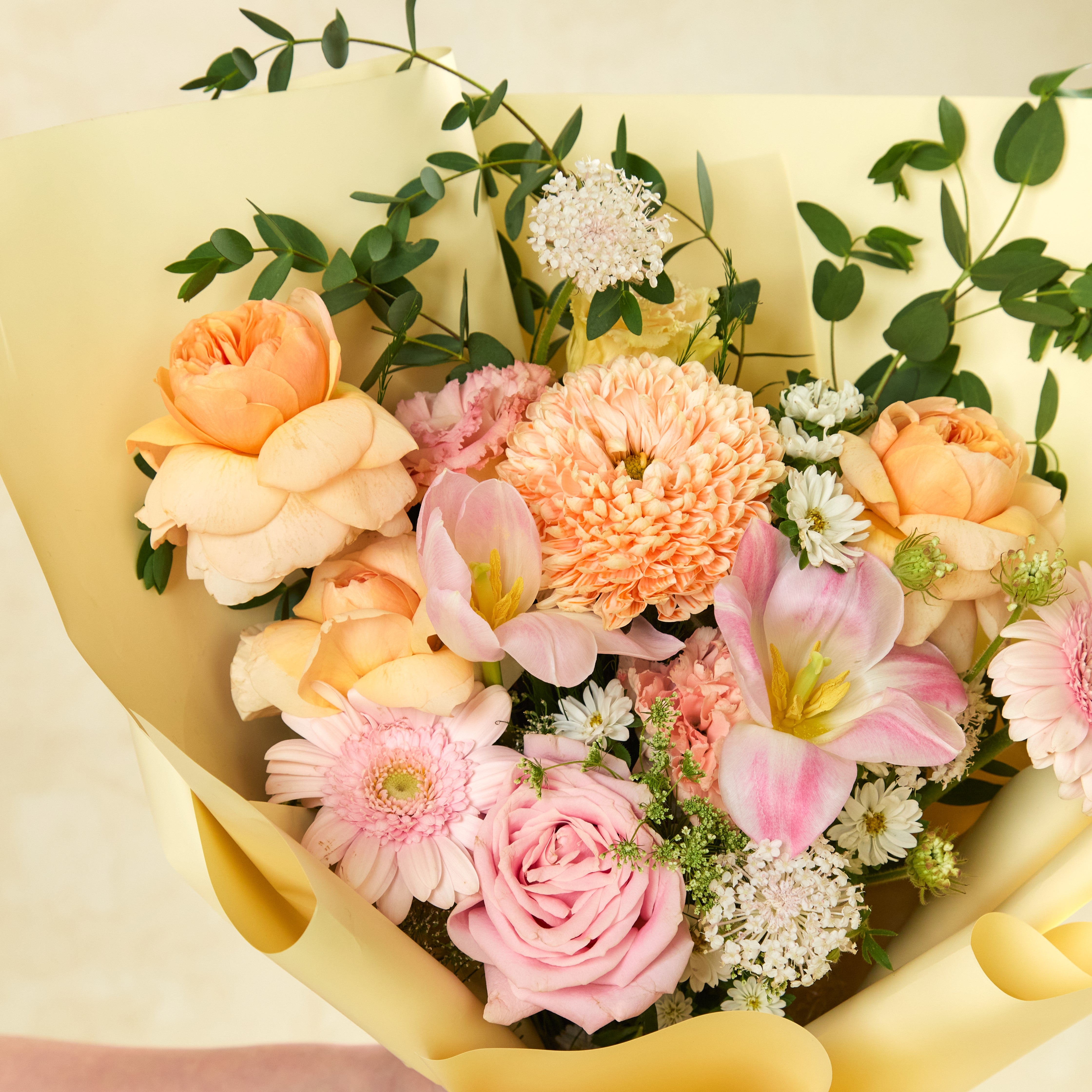 Sugarcloud Blossoms