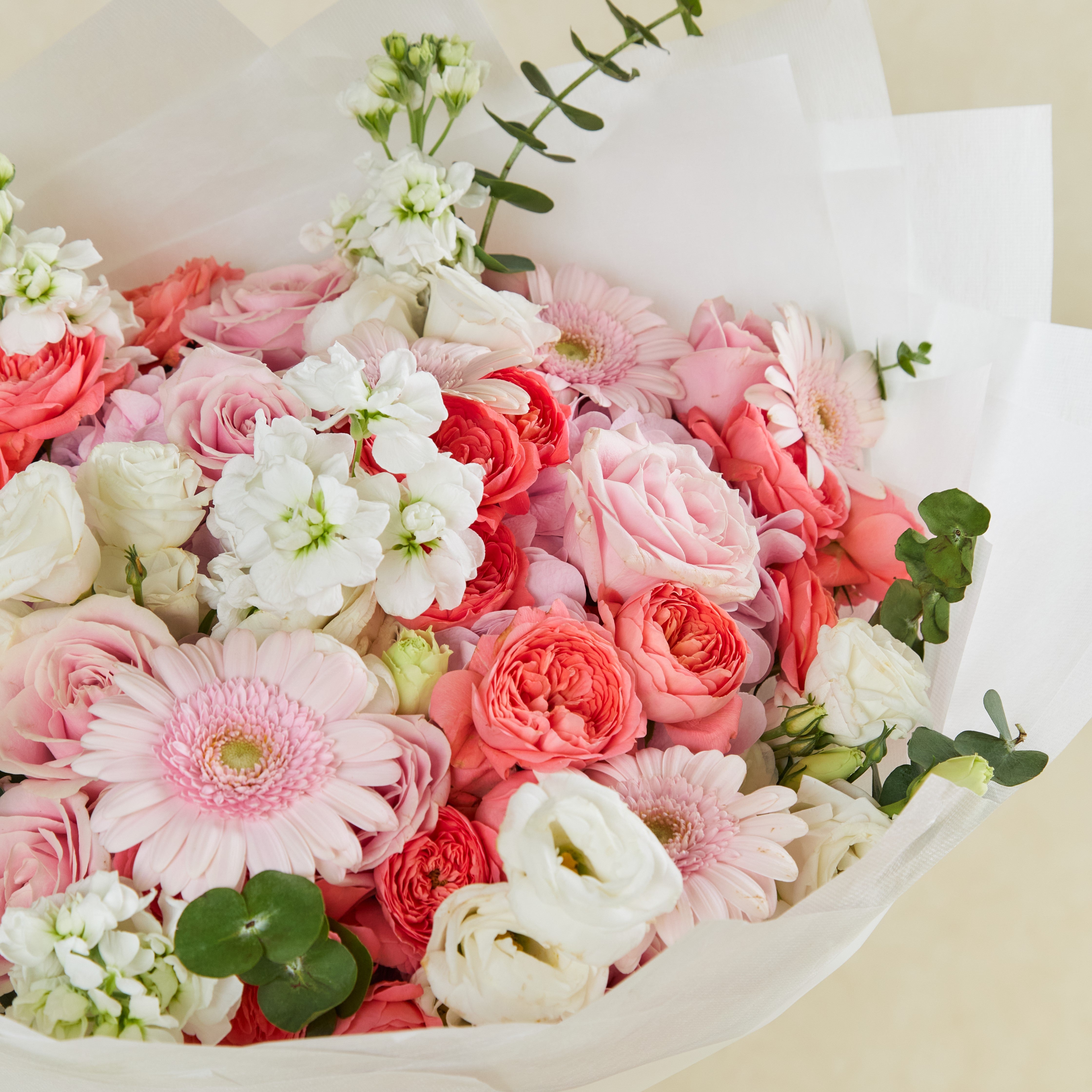 Blush Elegance