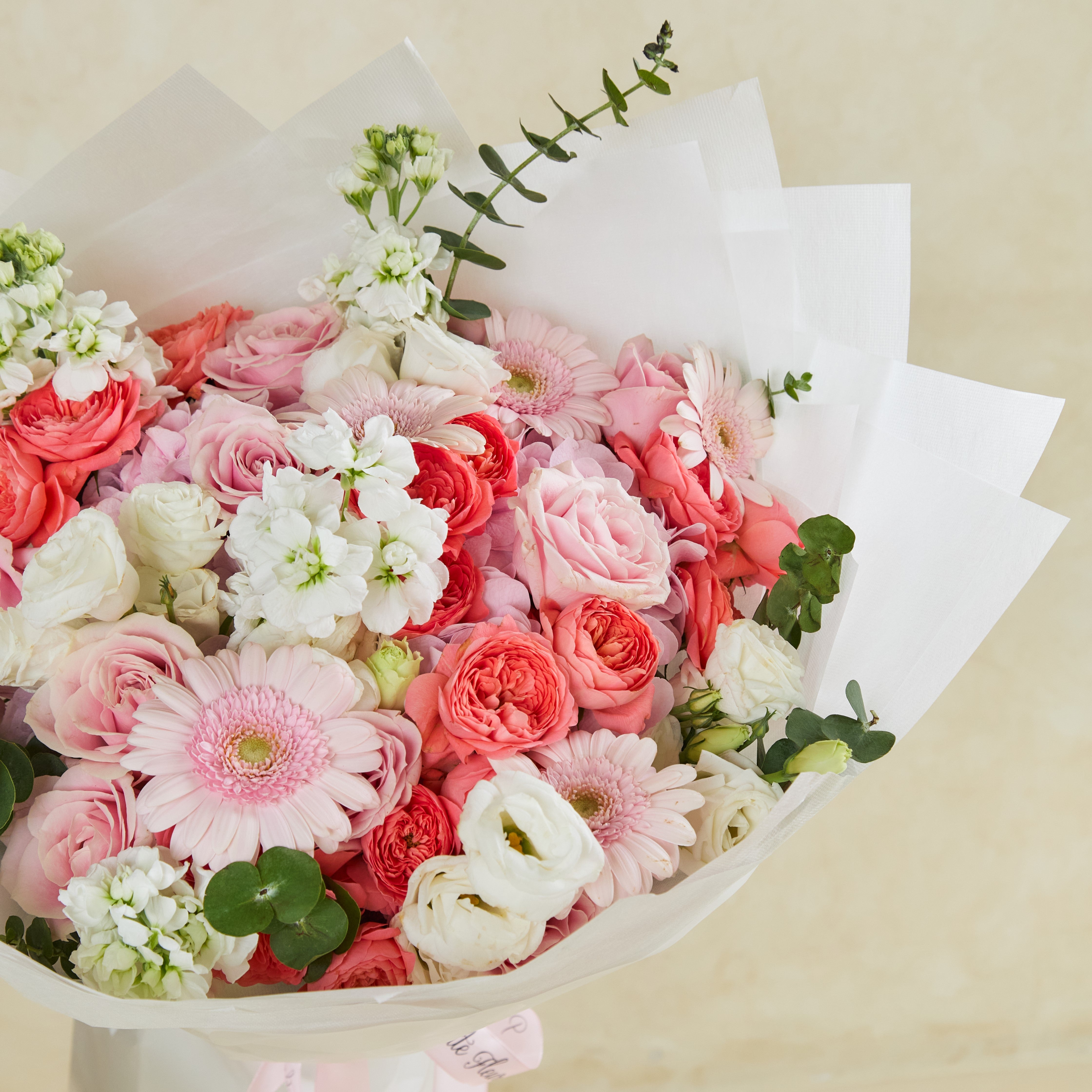 Blush Elegance