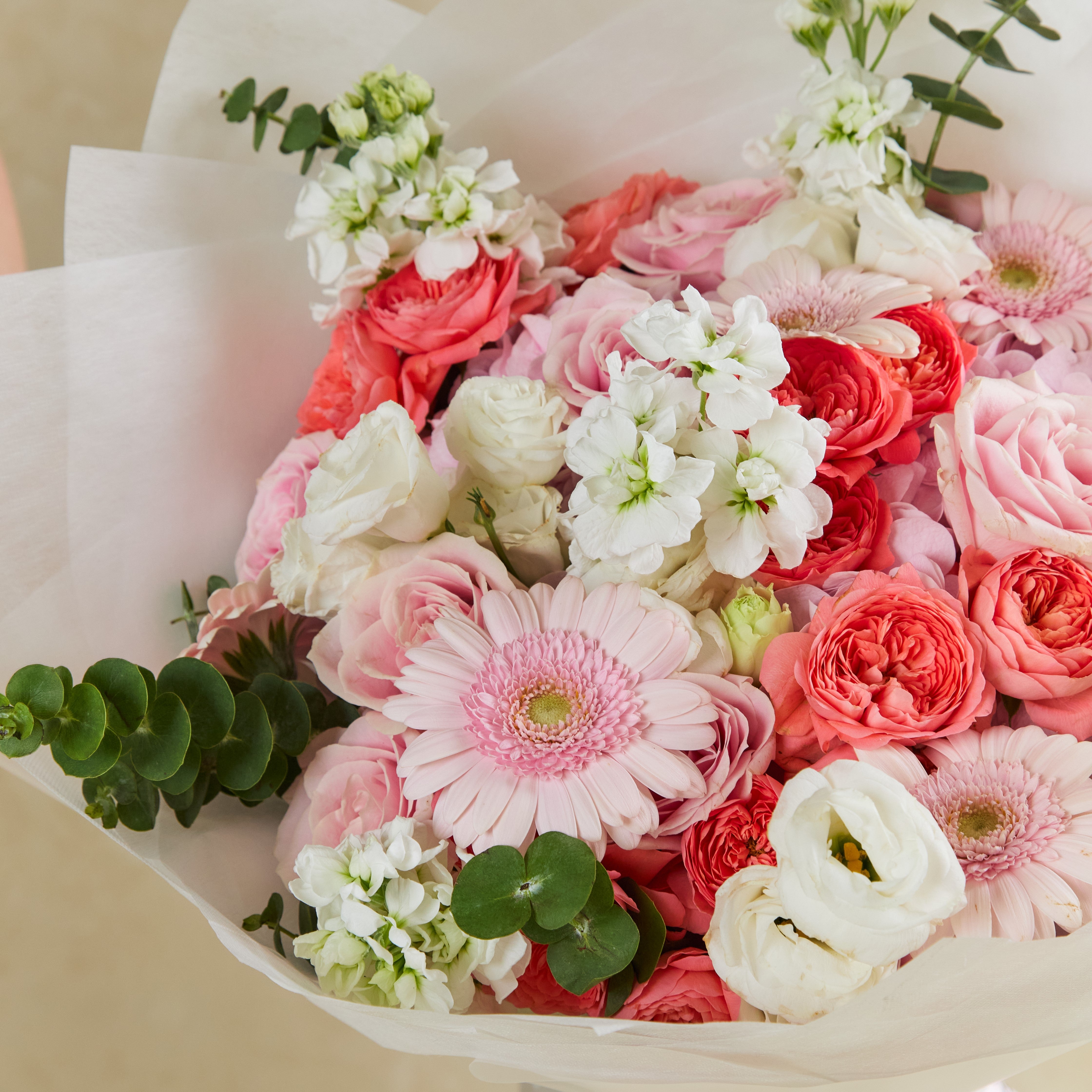 Blush Elegance