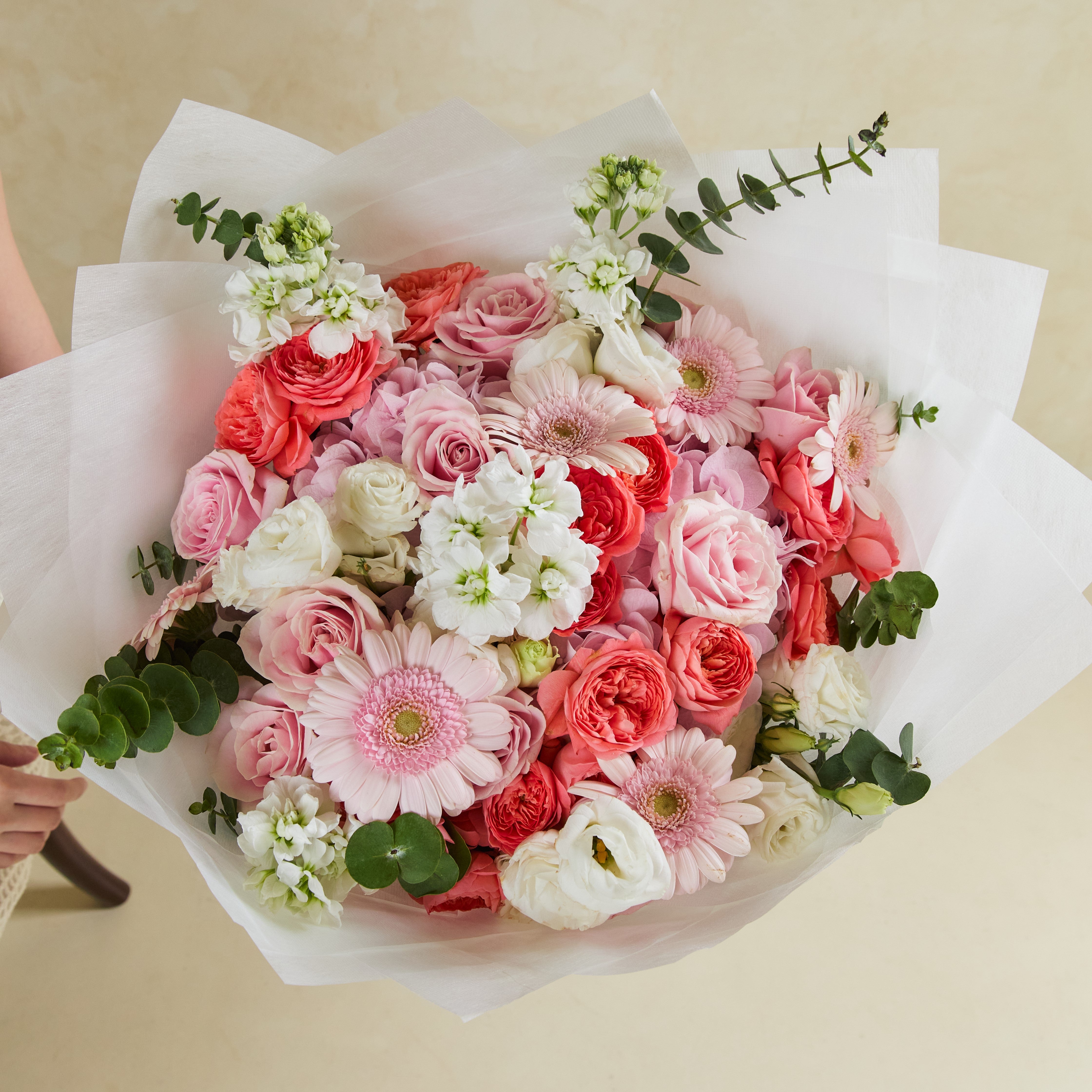 Blush Elegance