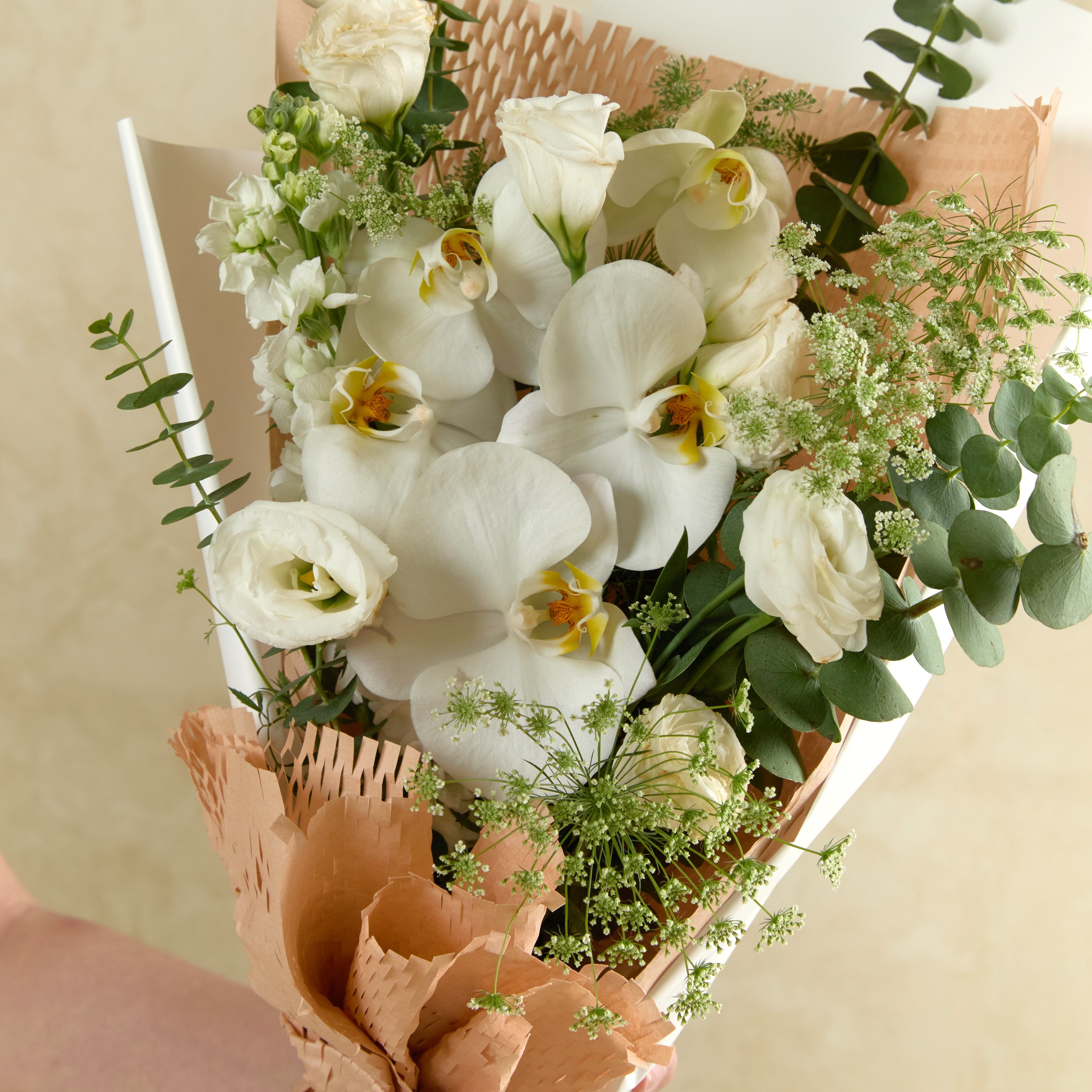Purely Orchid