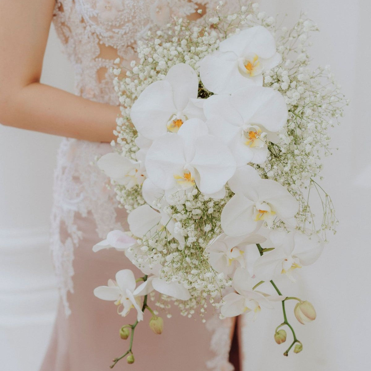 Baby’s Breath and Phalaenopsis Bridal Bouquet
