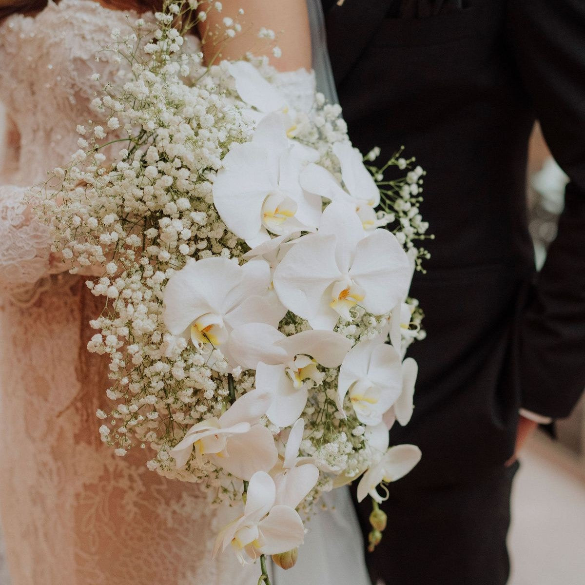 Baby’s Breath and Phalaenopsis Bridal Bouquet